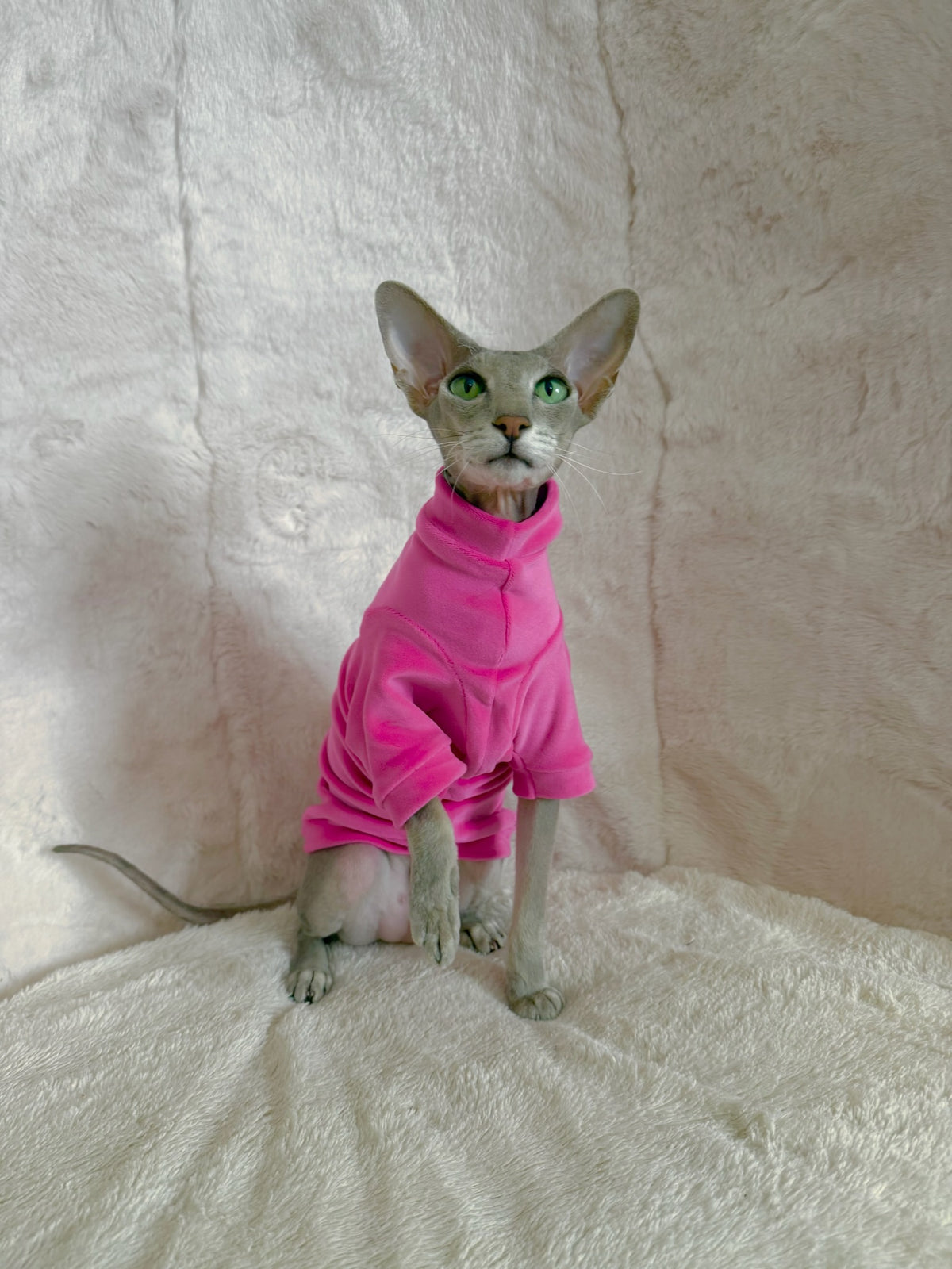 Spring Fling Queen Long Sleeve Plush Velvet Shirt
