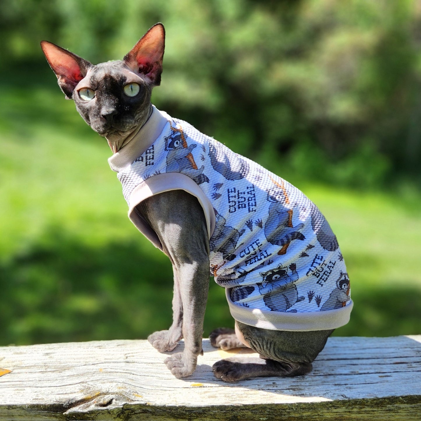 Dorian & Victor's Trash Pandas Textured Shirt