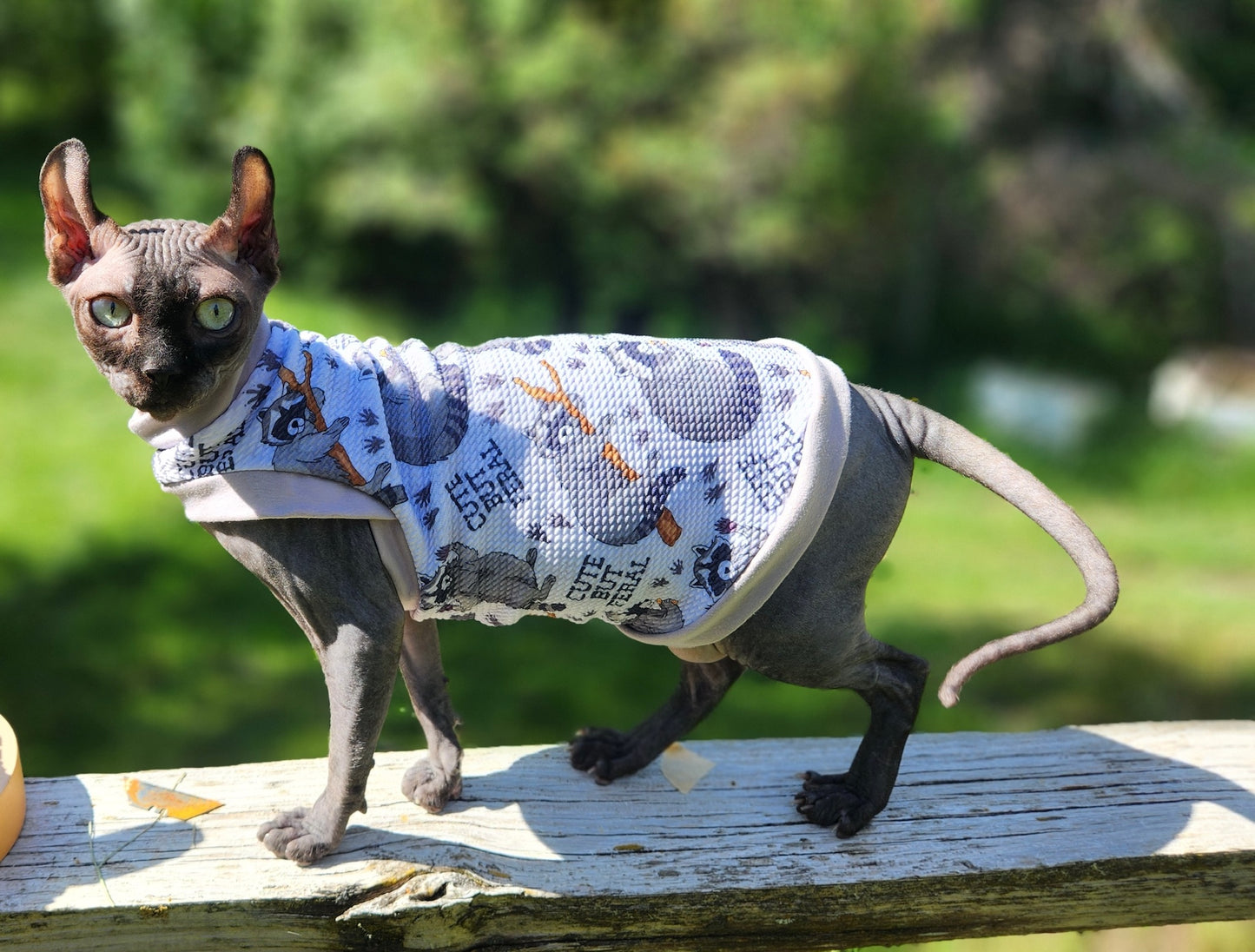 Dorian & Victor's Trash Panda Textured Shirt with One Arm Hole