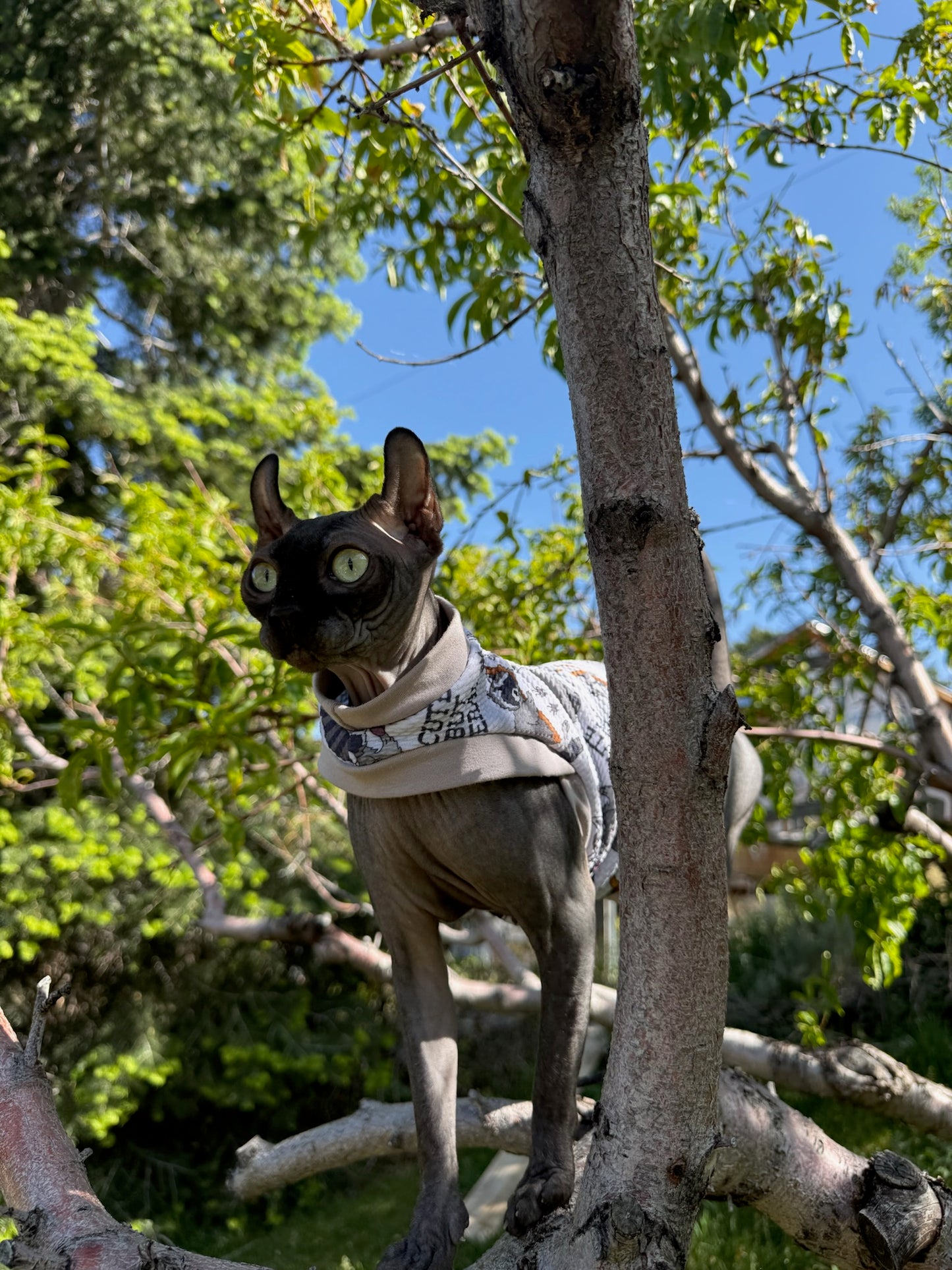 Dorian & Victor's Trash Panda Textured Shirt with One Arm Hole