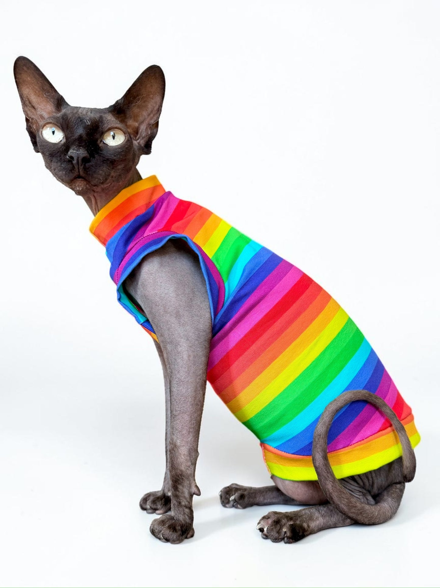 Rainbow Brite Everyday Shirt