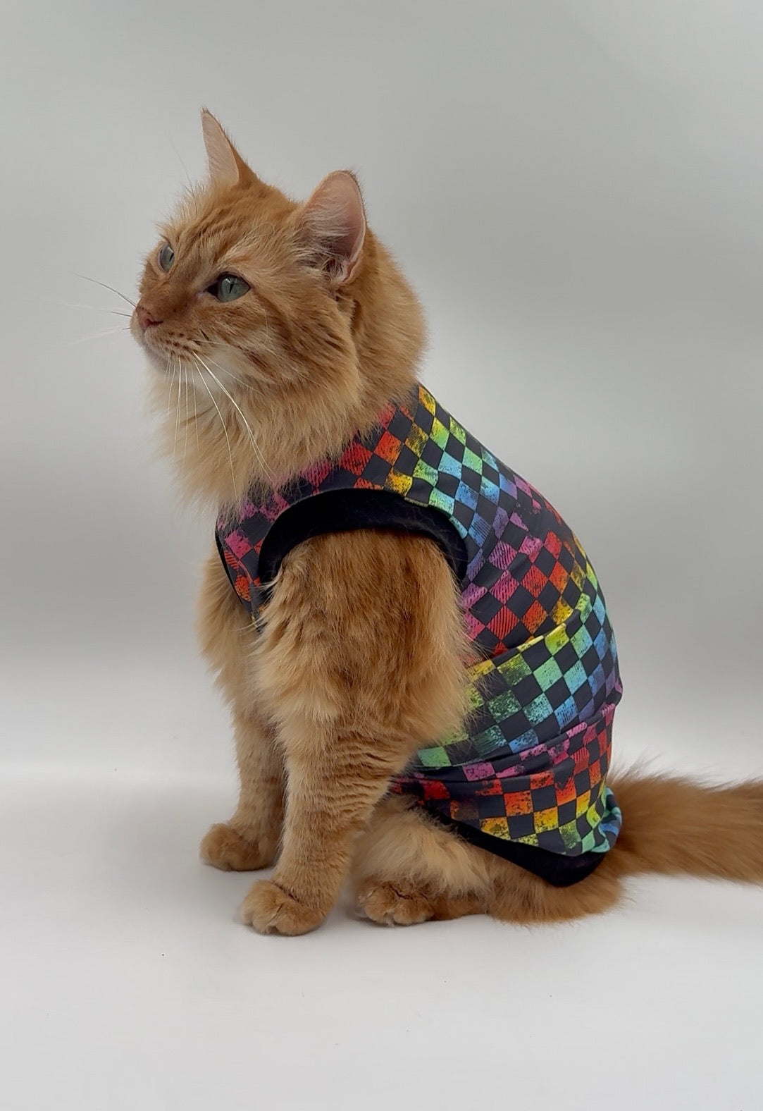 Rainbow Checkers UV 50+ Sun Protective Shirt