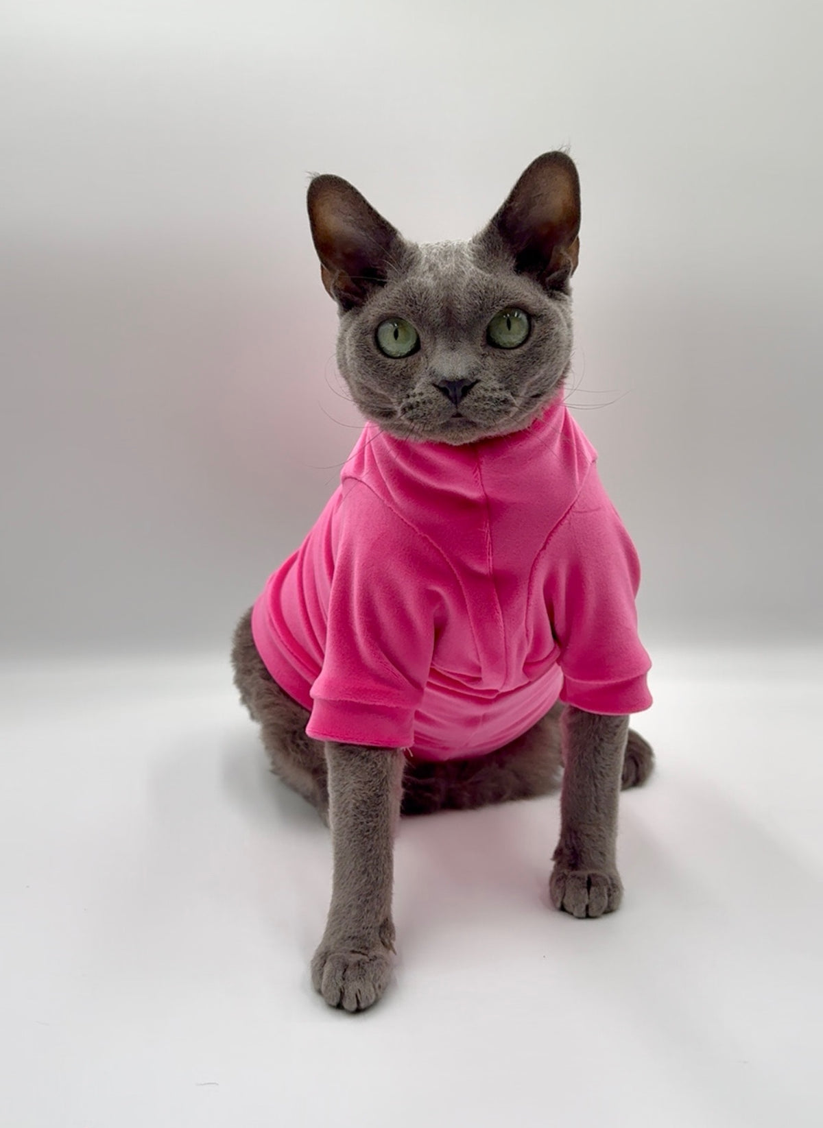 Spring Fling Queen Long Sleeve Plush Velvet Shirt