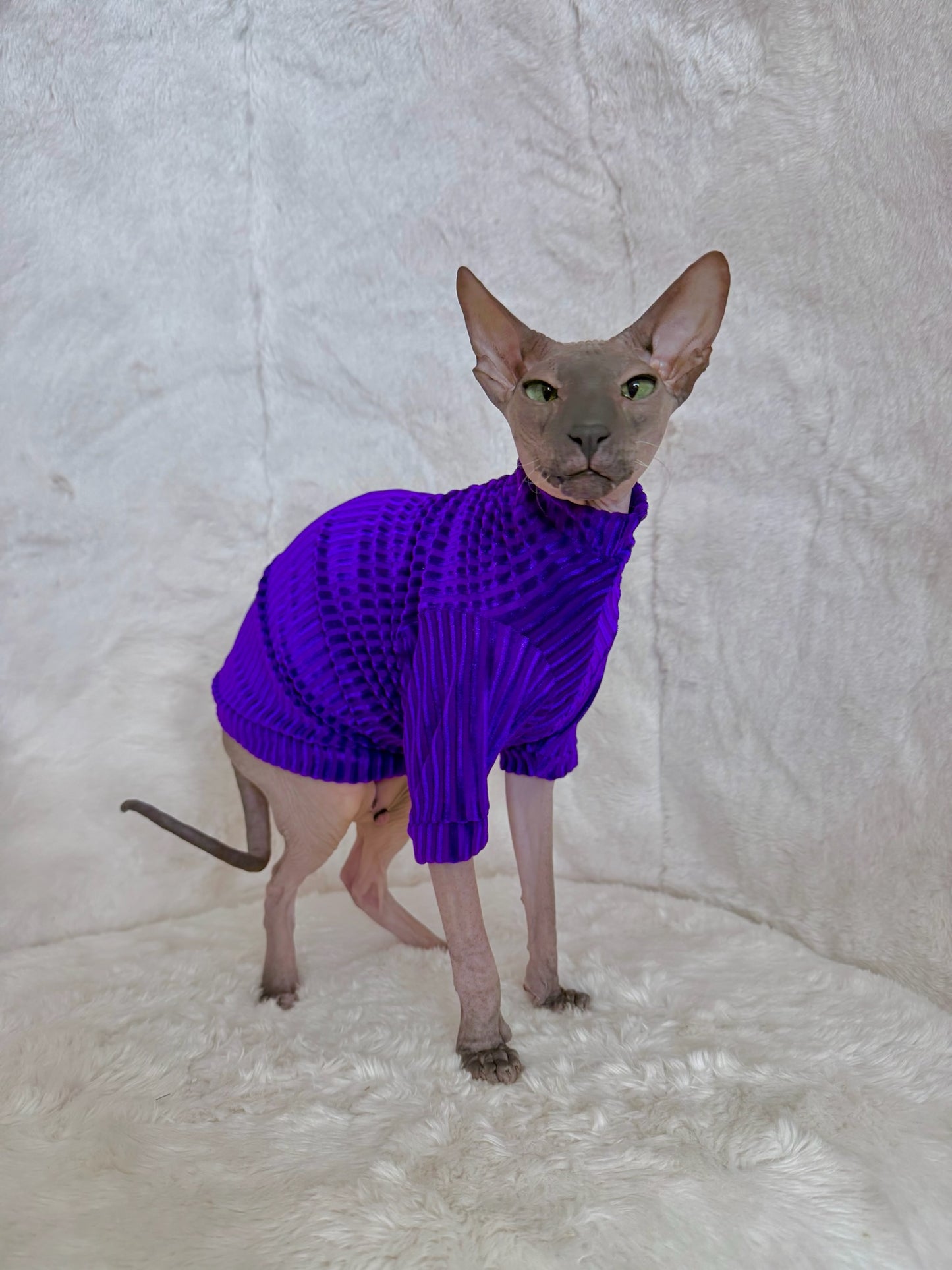 Royal Cantina Long Sleeve Ribbed Velvet Shirt