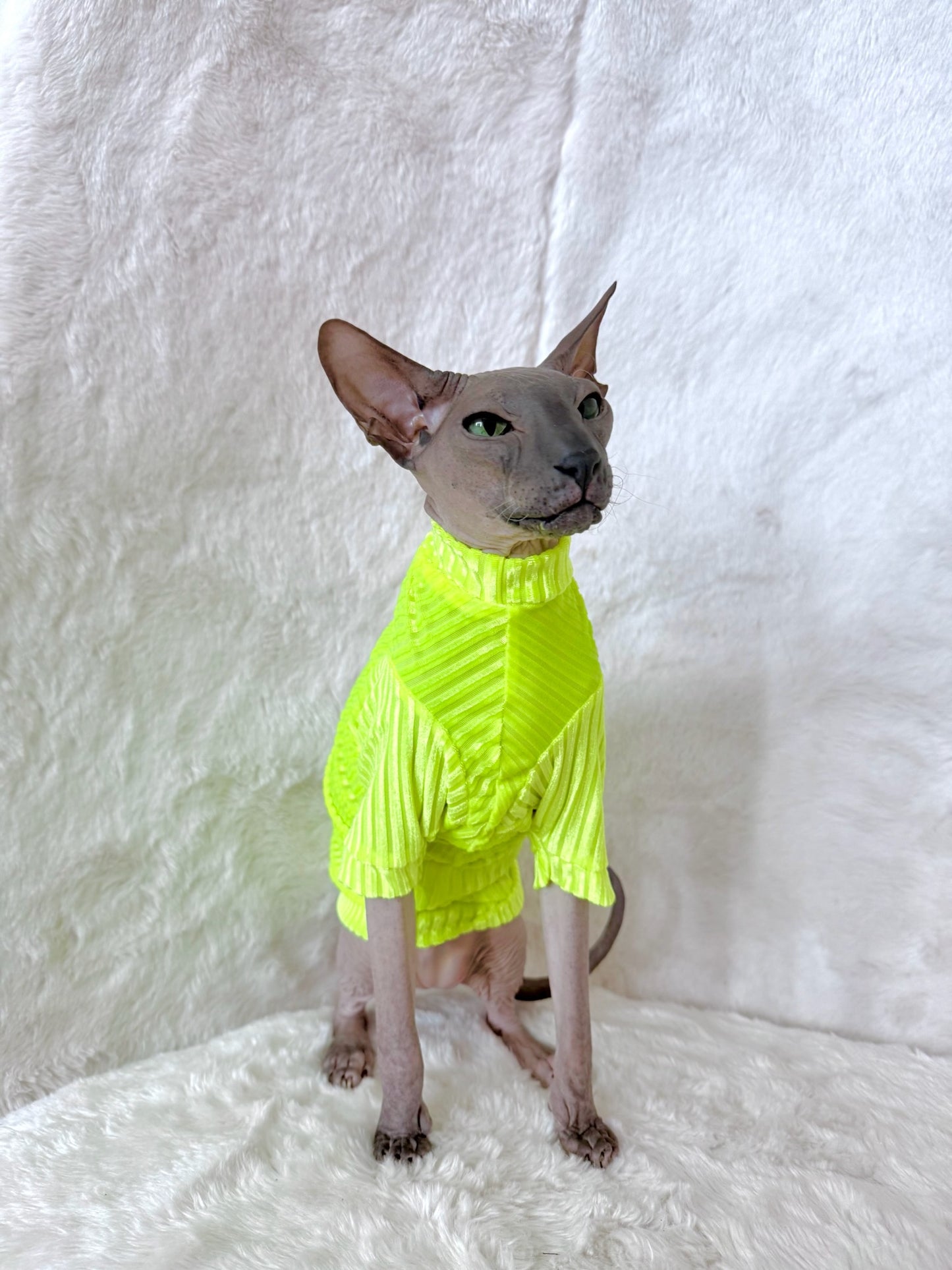 Neon Sol Long Sleeve Ribbed Velvet Shirt