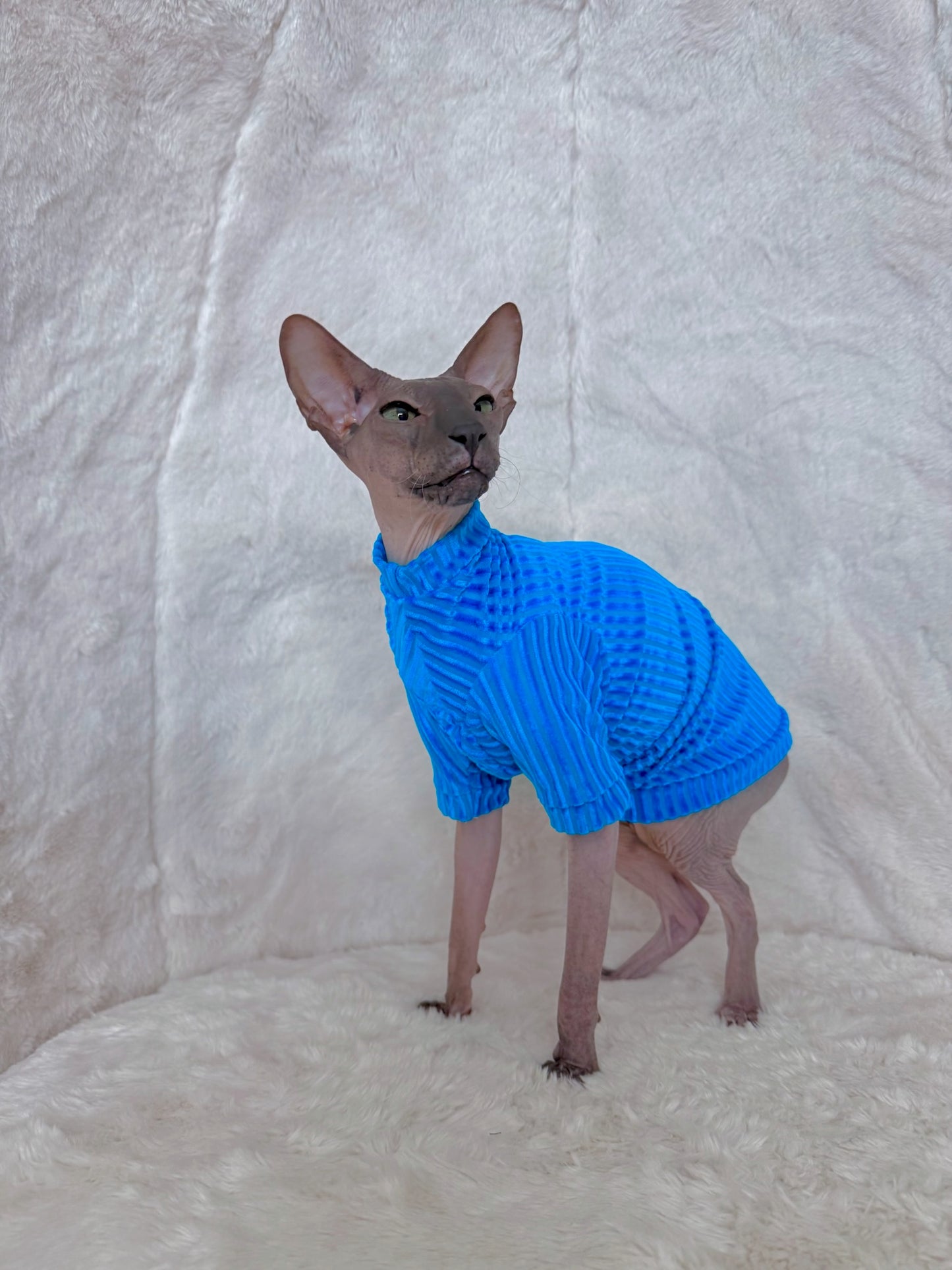 Aqua After Party Long Sleeve Ribbed Velvet Shirt