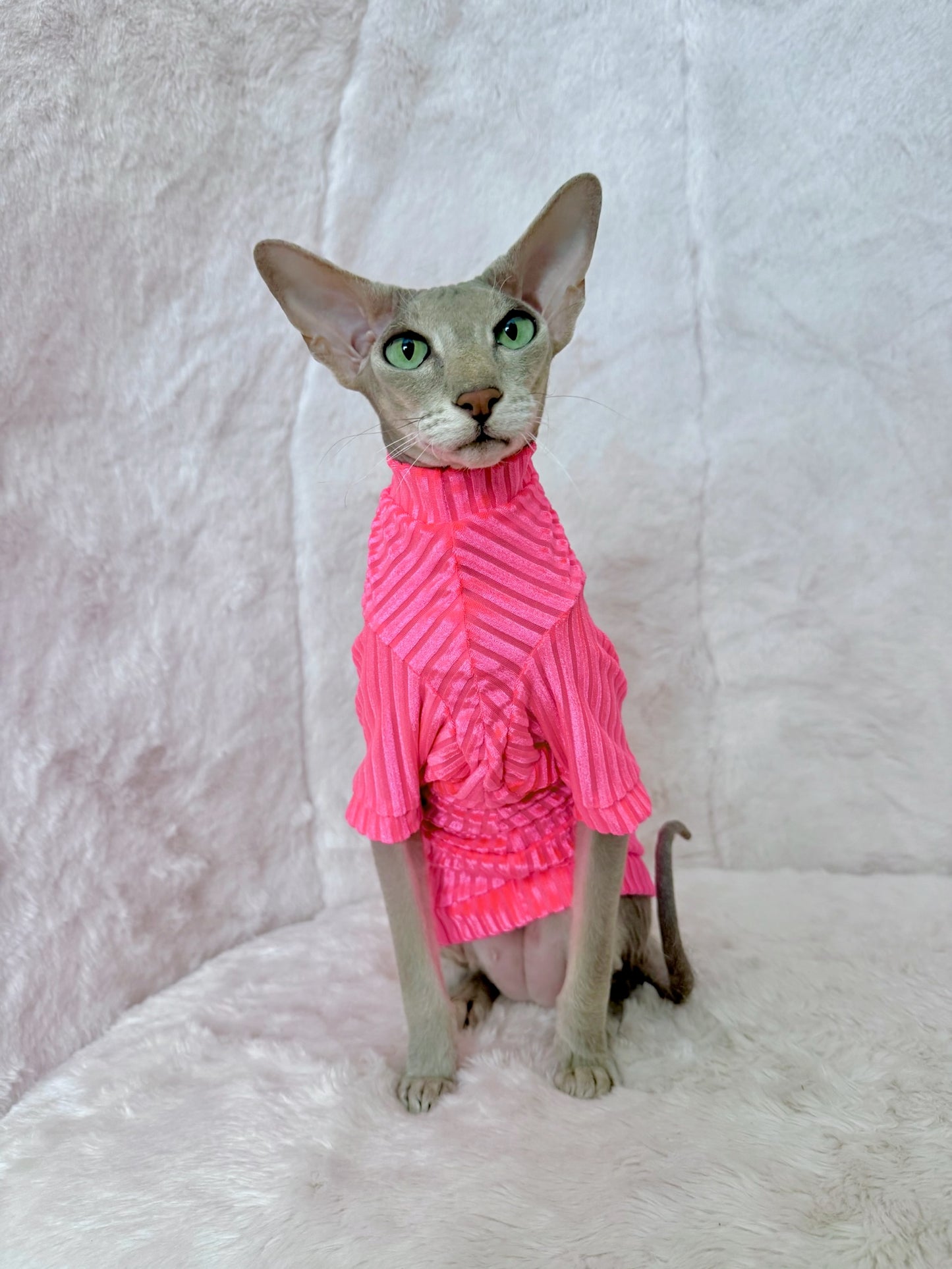 Pink Paloma Punch Long Sleeve Ribbed Velvet Shirt