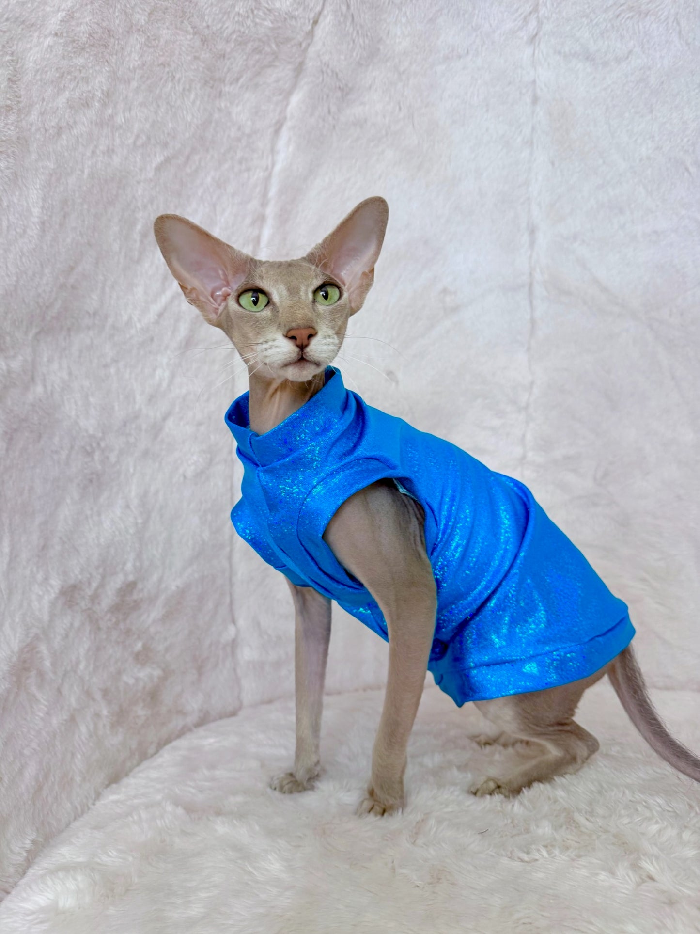 Caribbean Breeze Fashion Shirt