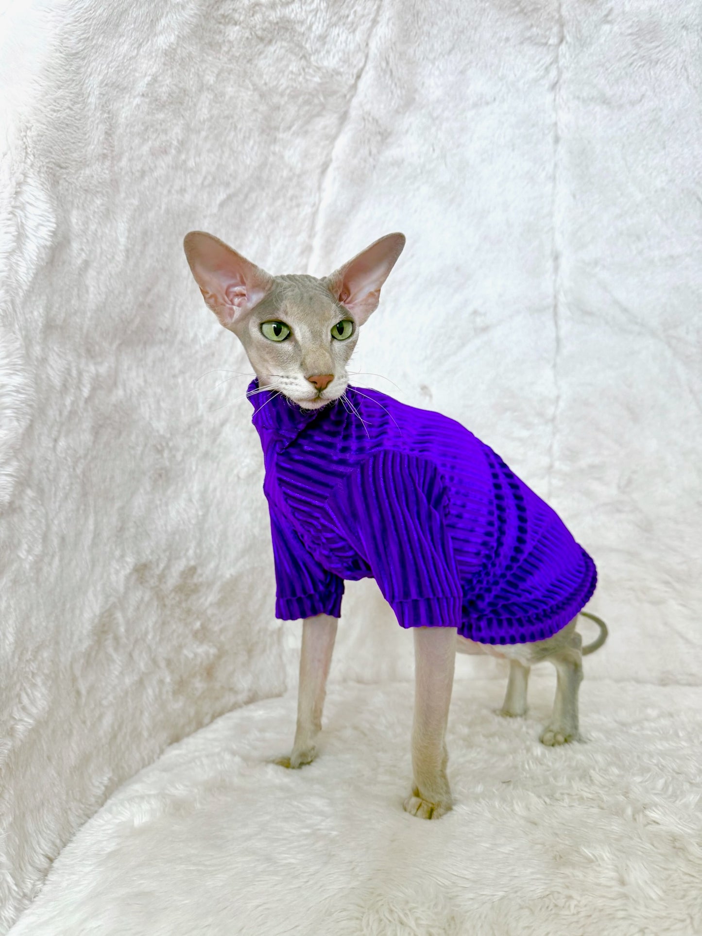 Royal Cantina Long Sleeve Ribbed Velvet Shirt