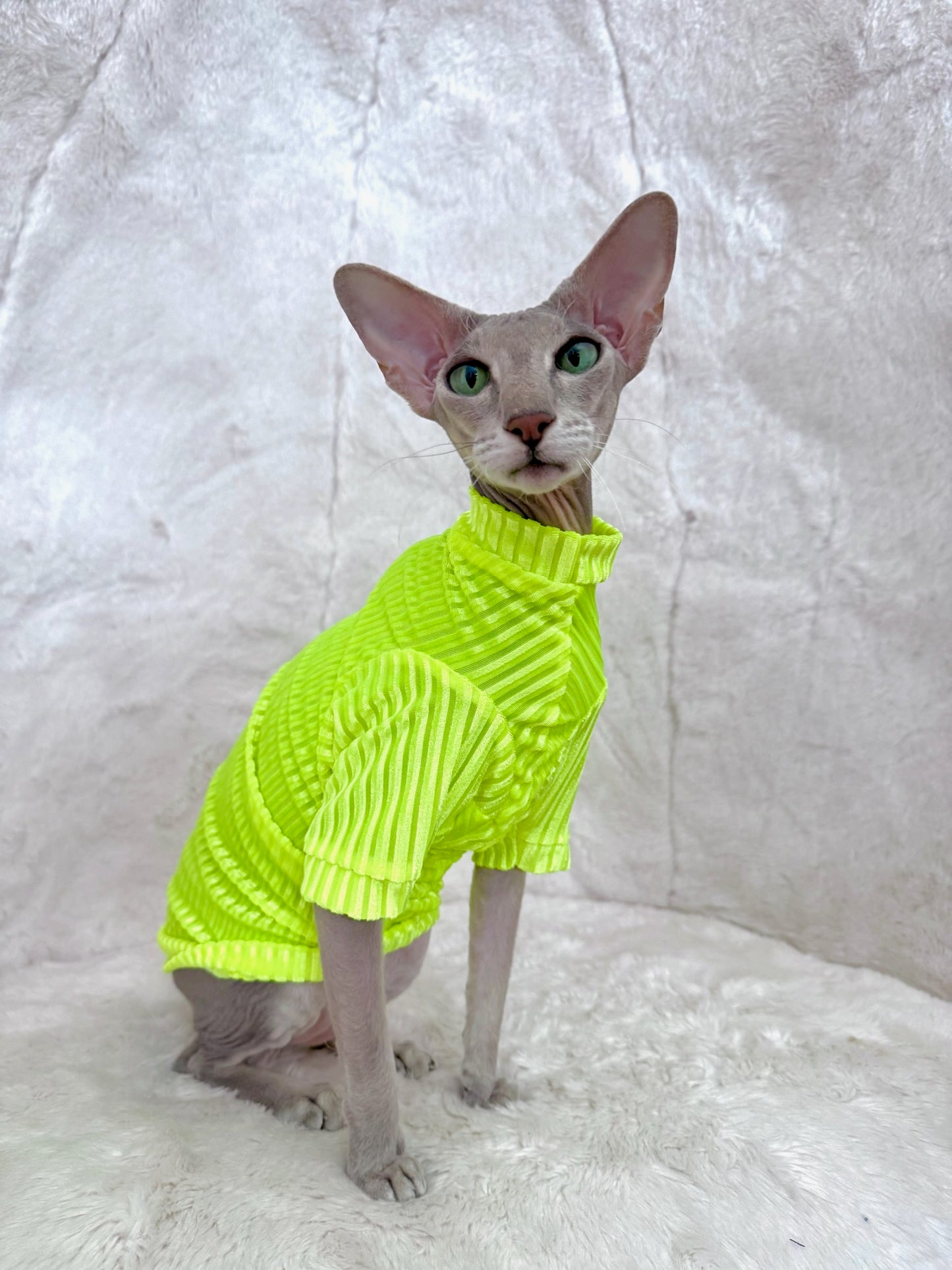 Neon Sol Long Sleeve Ribbed Velvet Shirt