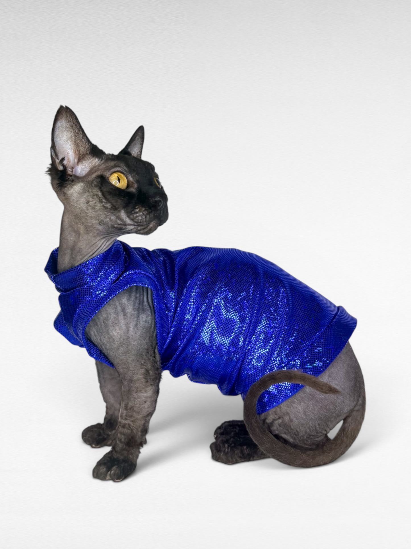 Royal Runway Fashion Shirt