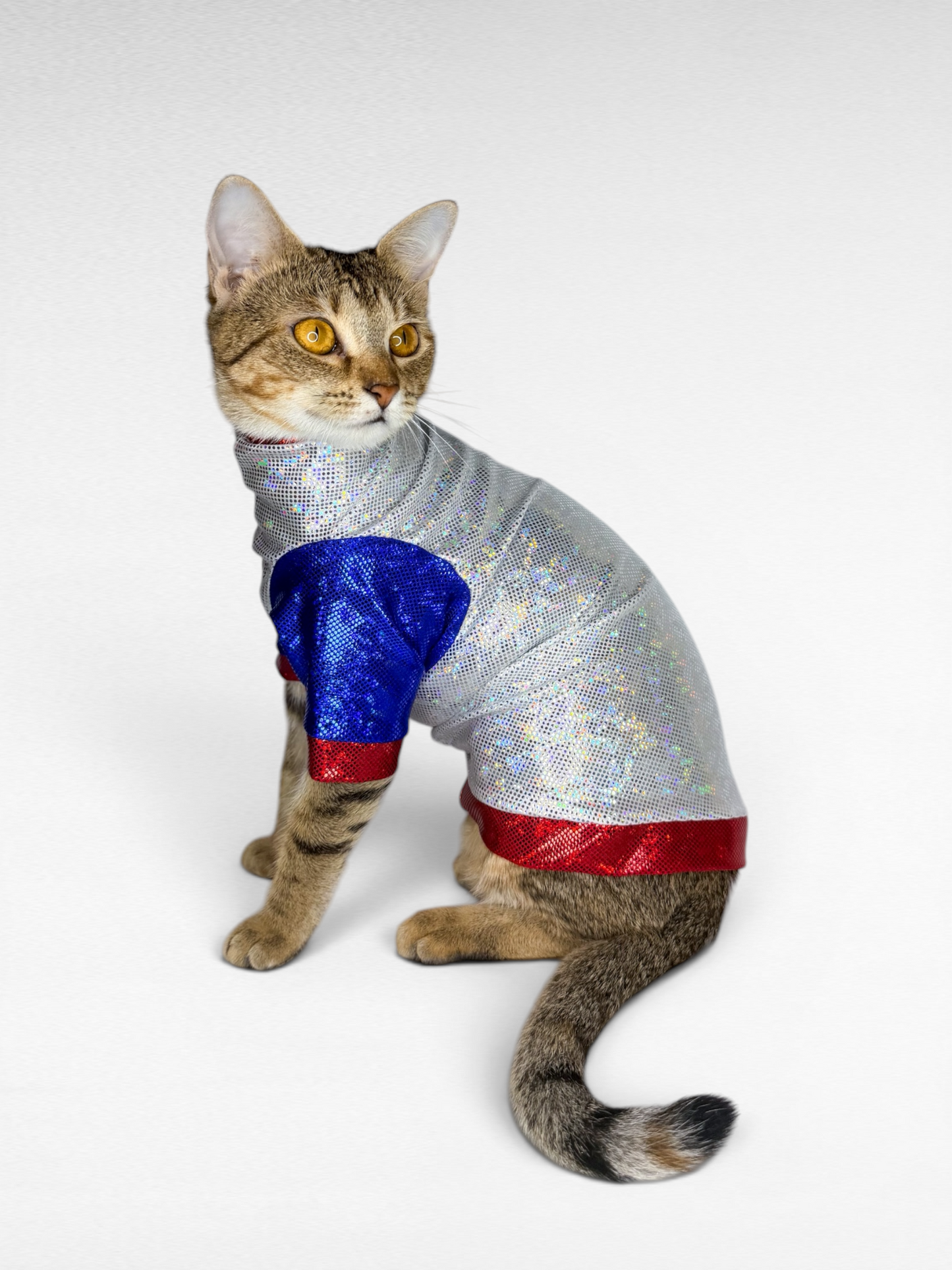 Silver Lining Color Block Long Sleeve Fashion Shirt