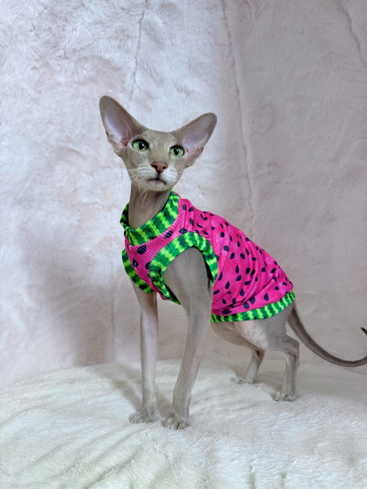 Watermelon Sugar Ribbed Shirt