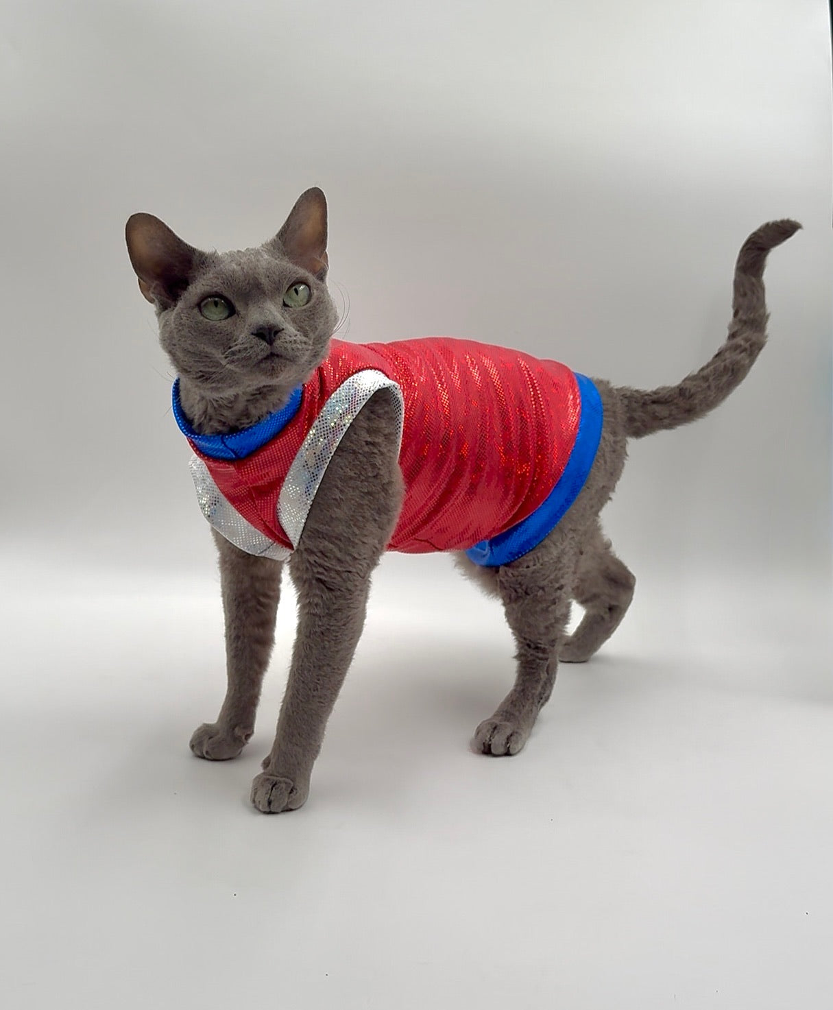 Cherry Bomb Color Block Fashion Shirt