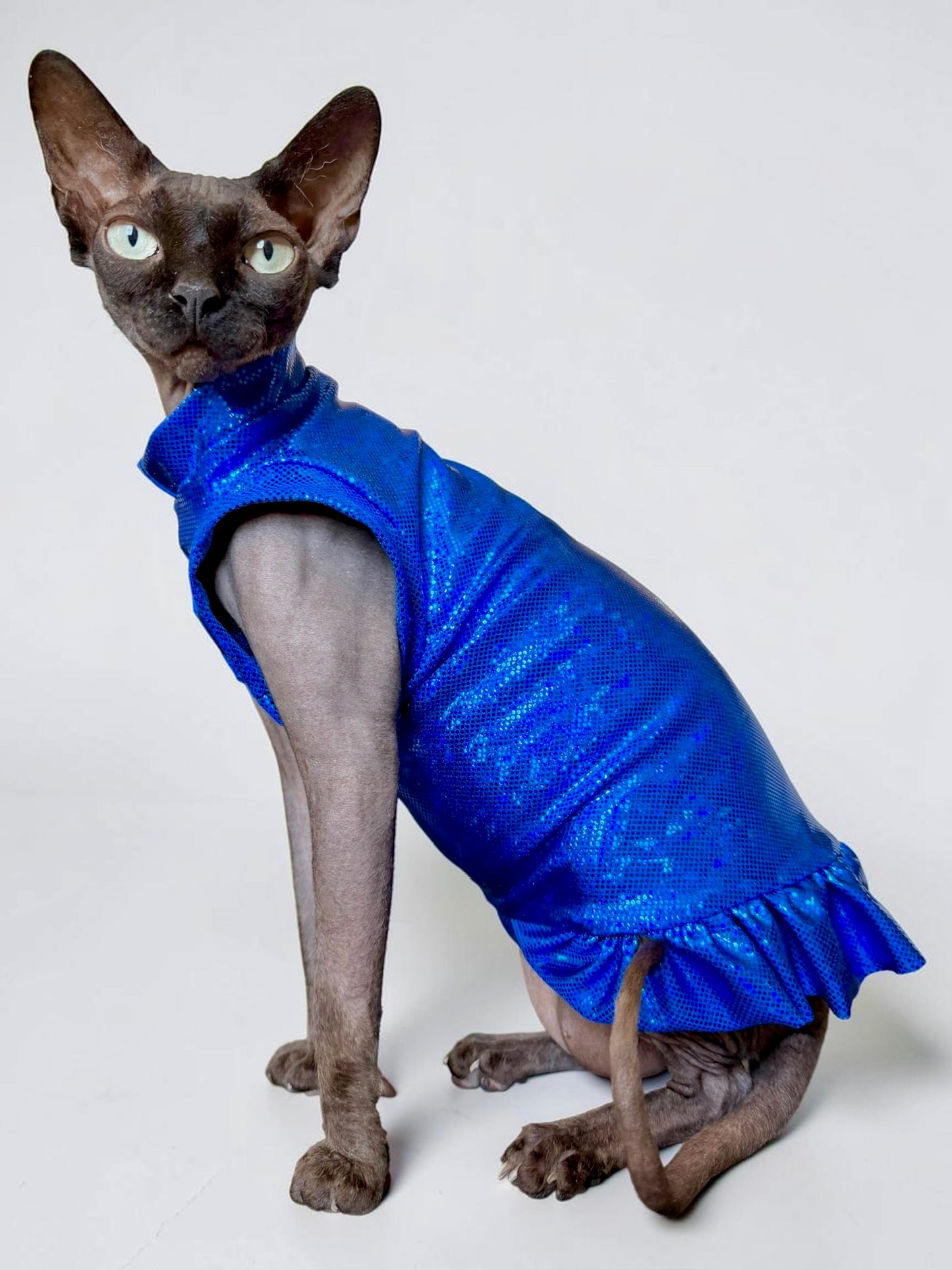 Royal Runway Ruffle Butt Fashion Shirt (Both Arm Styles)