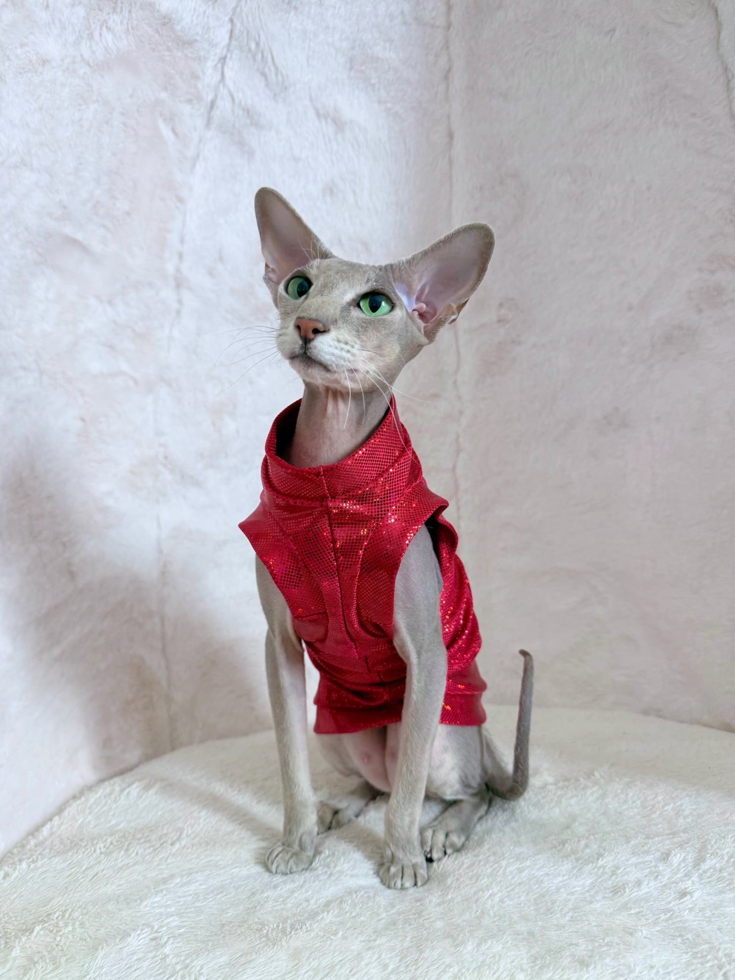 Cherry Bomb Fashion Shirt