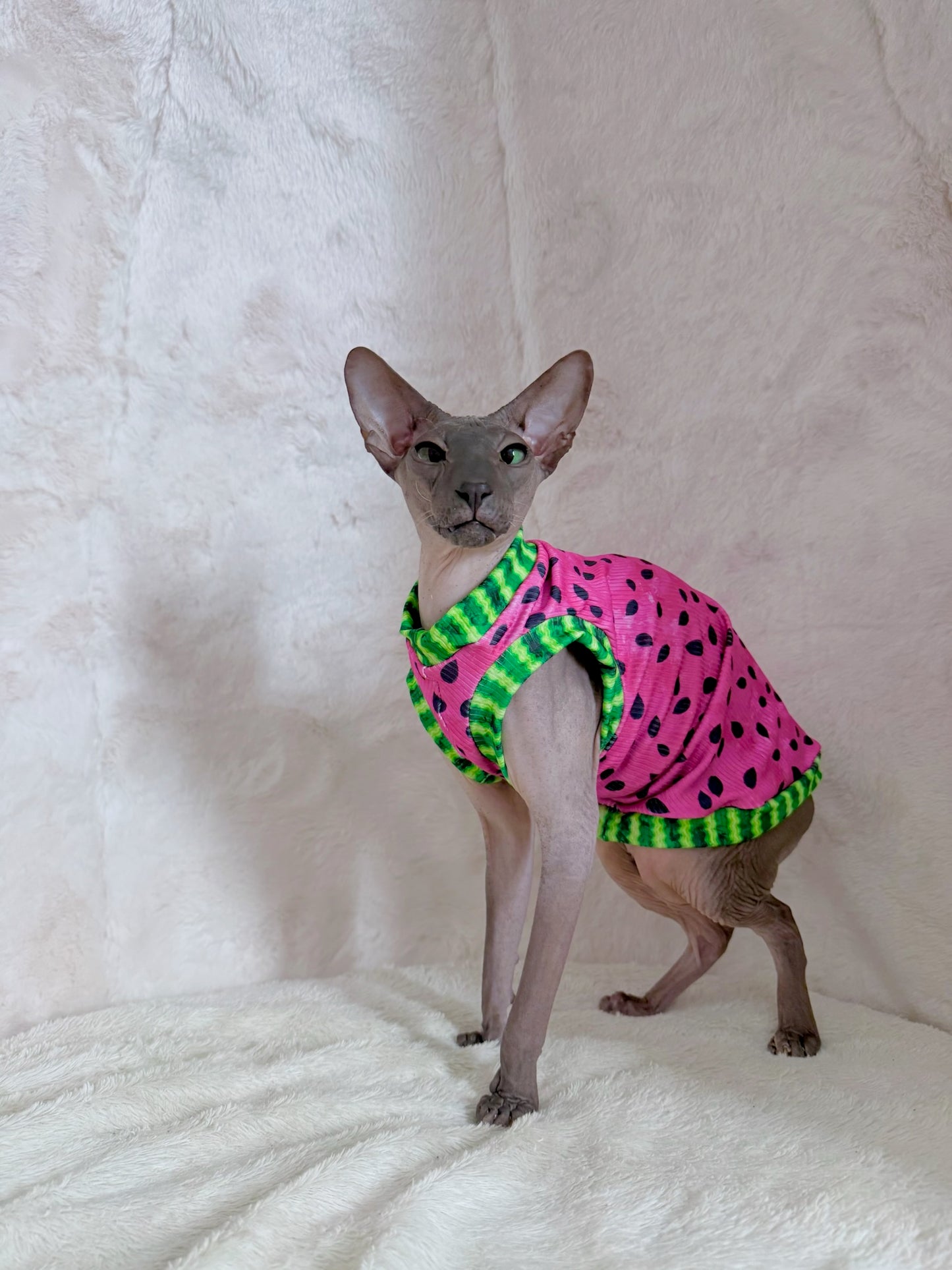 Watermelon Sugar Ribbed Shirt
