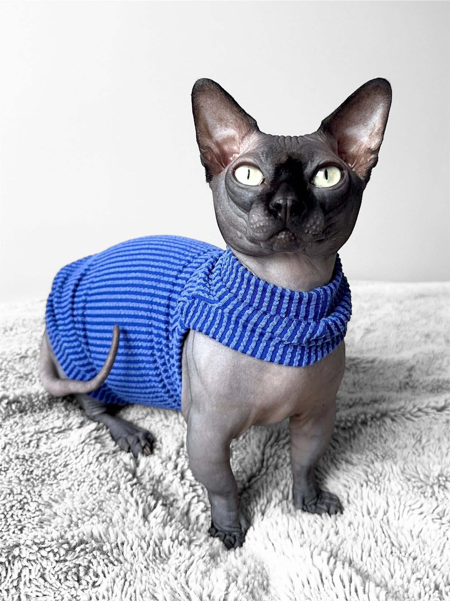 Royal Blue Chunky Ribbed Shirt with One Arm Hole