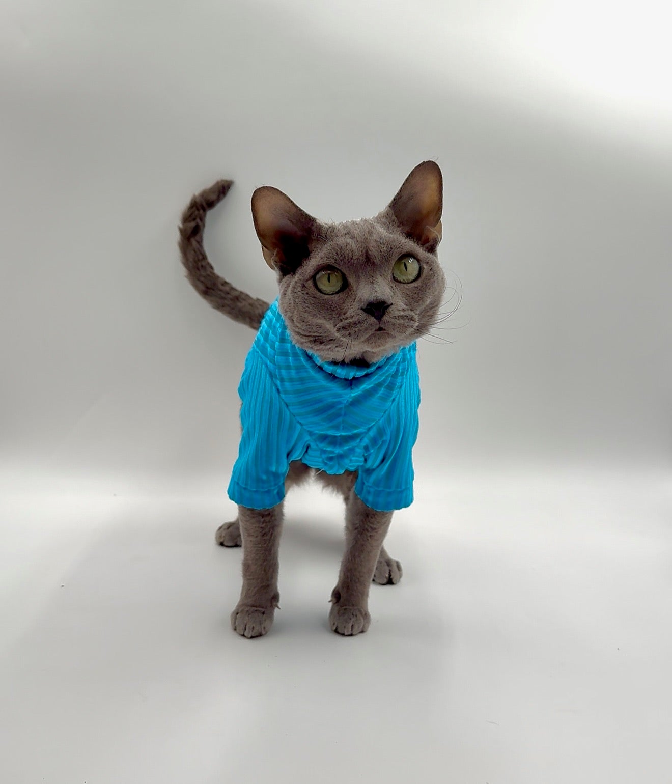 Aqua After Party Long Sleeve Ribbed Velvet Shirt