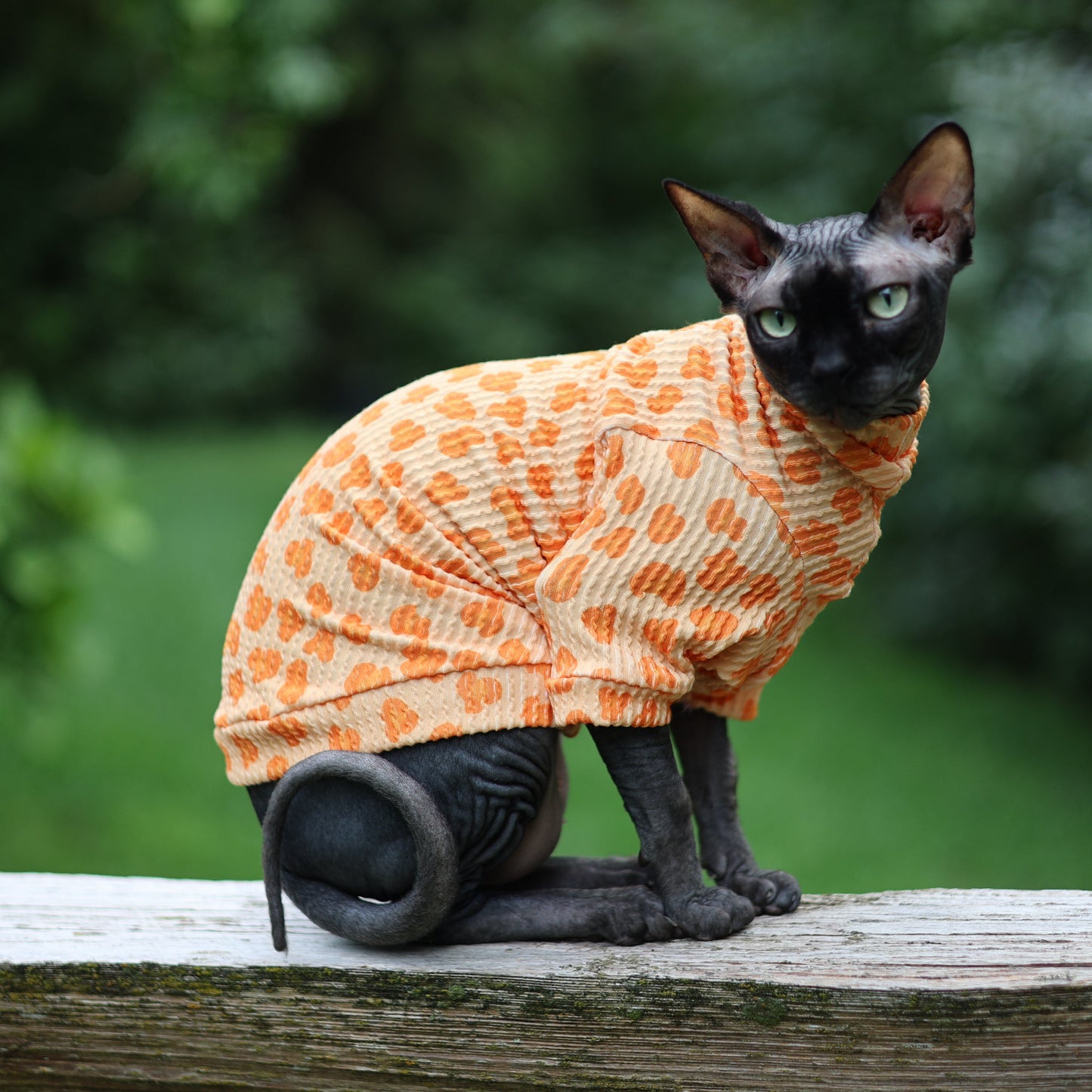 Creamsicle Leopard Long Sleeve Chunky Ribbed Shirt