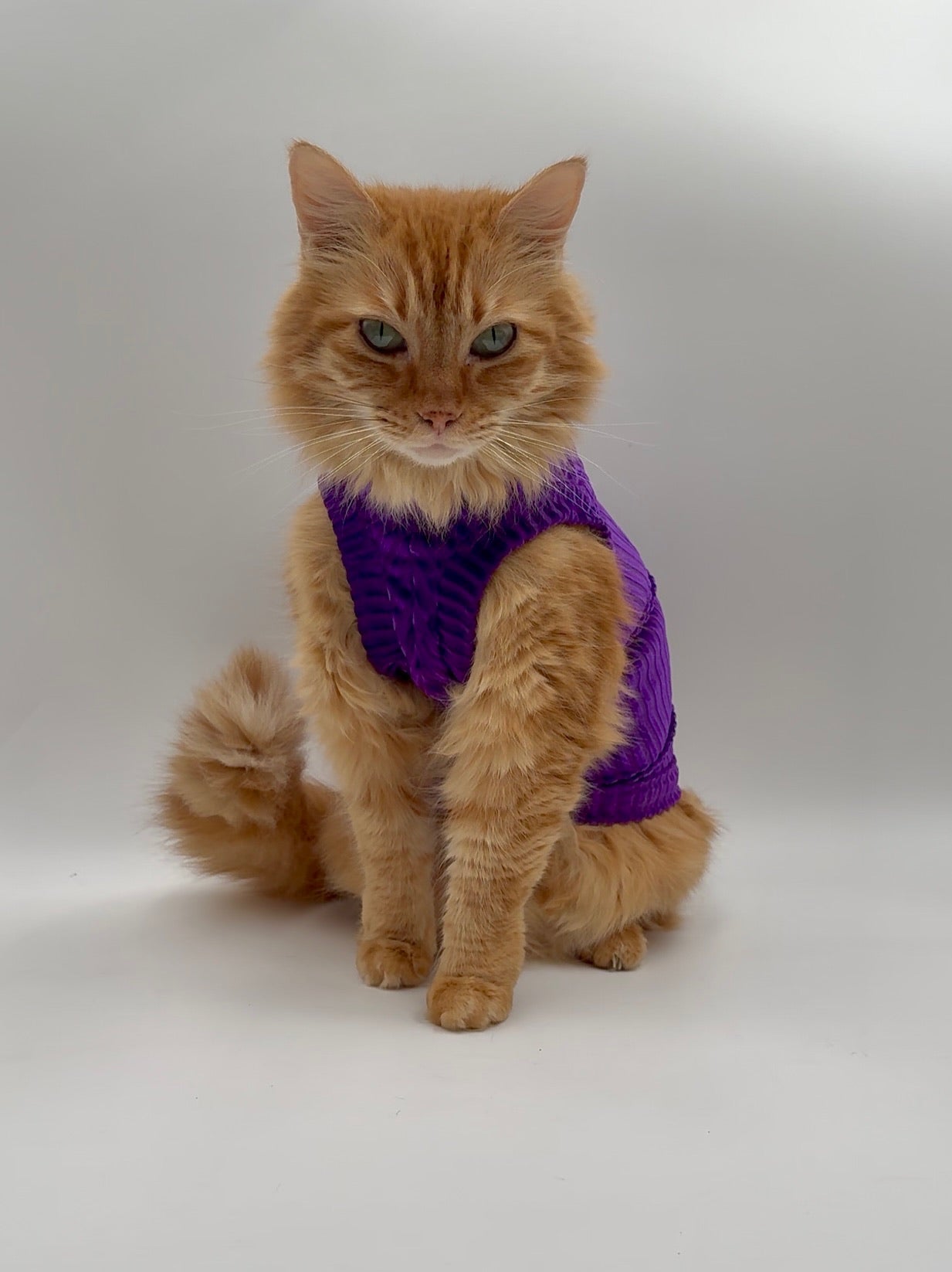 Royal Cantina Ribbed Velvet Shirt