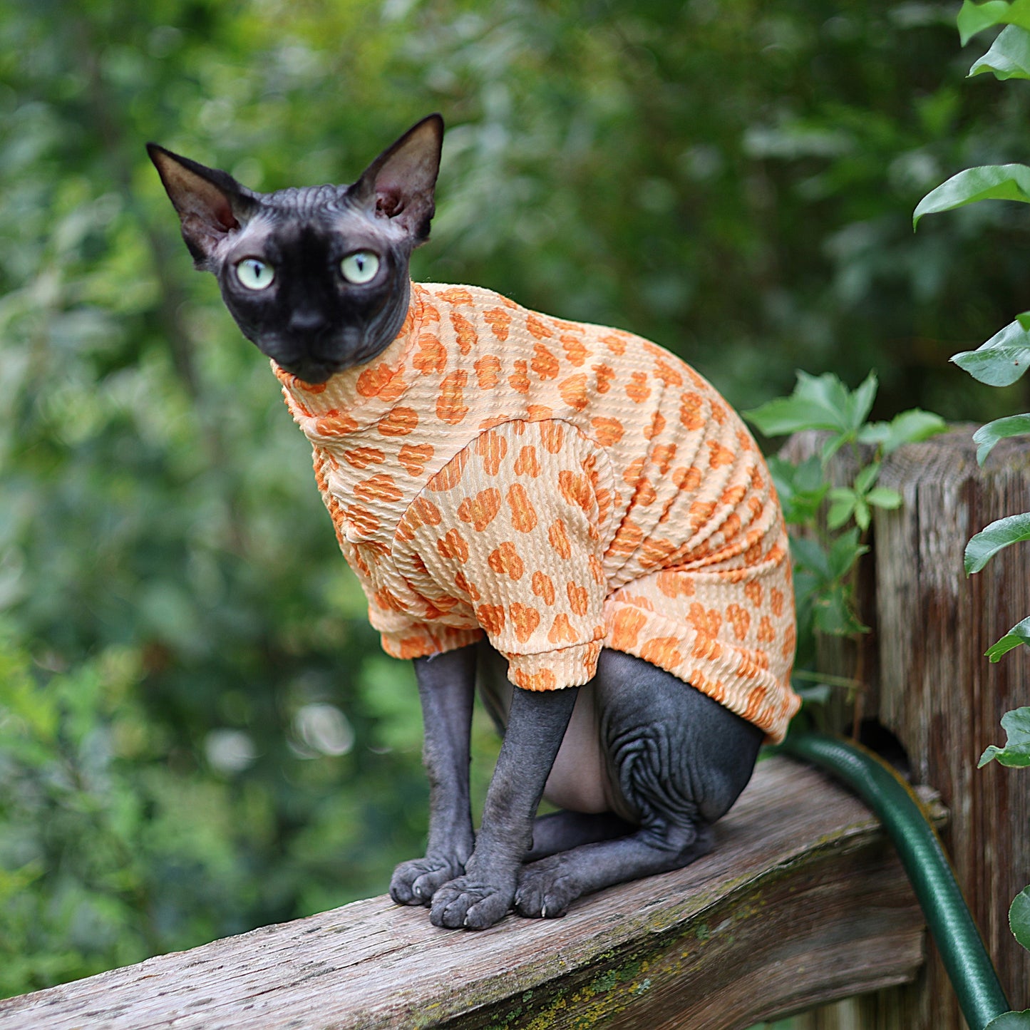 Creamsicle Leopard Long Sleeve Chunky Ribbed Shirt