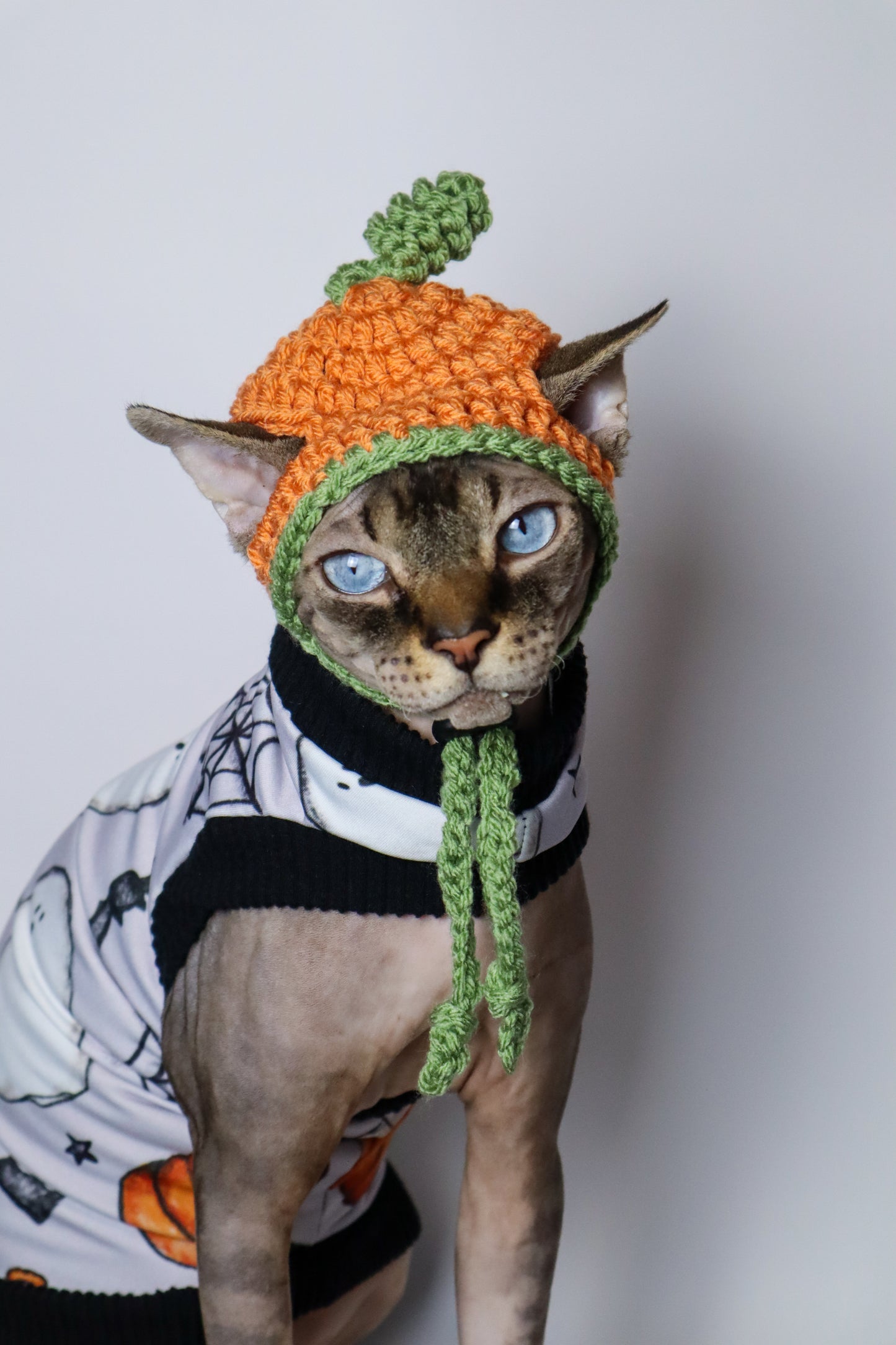 Pumpkin Knit Hat