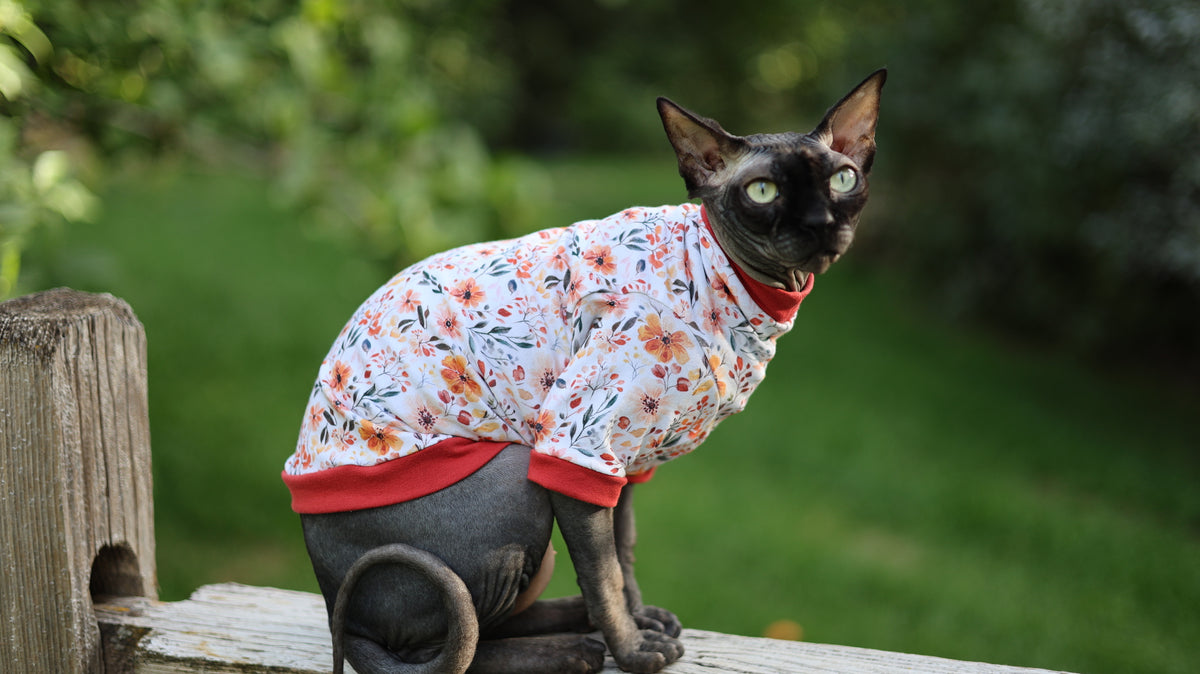 Autumn Bloom Long Sleeve Everyday Shirt