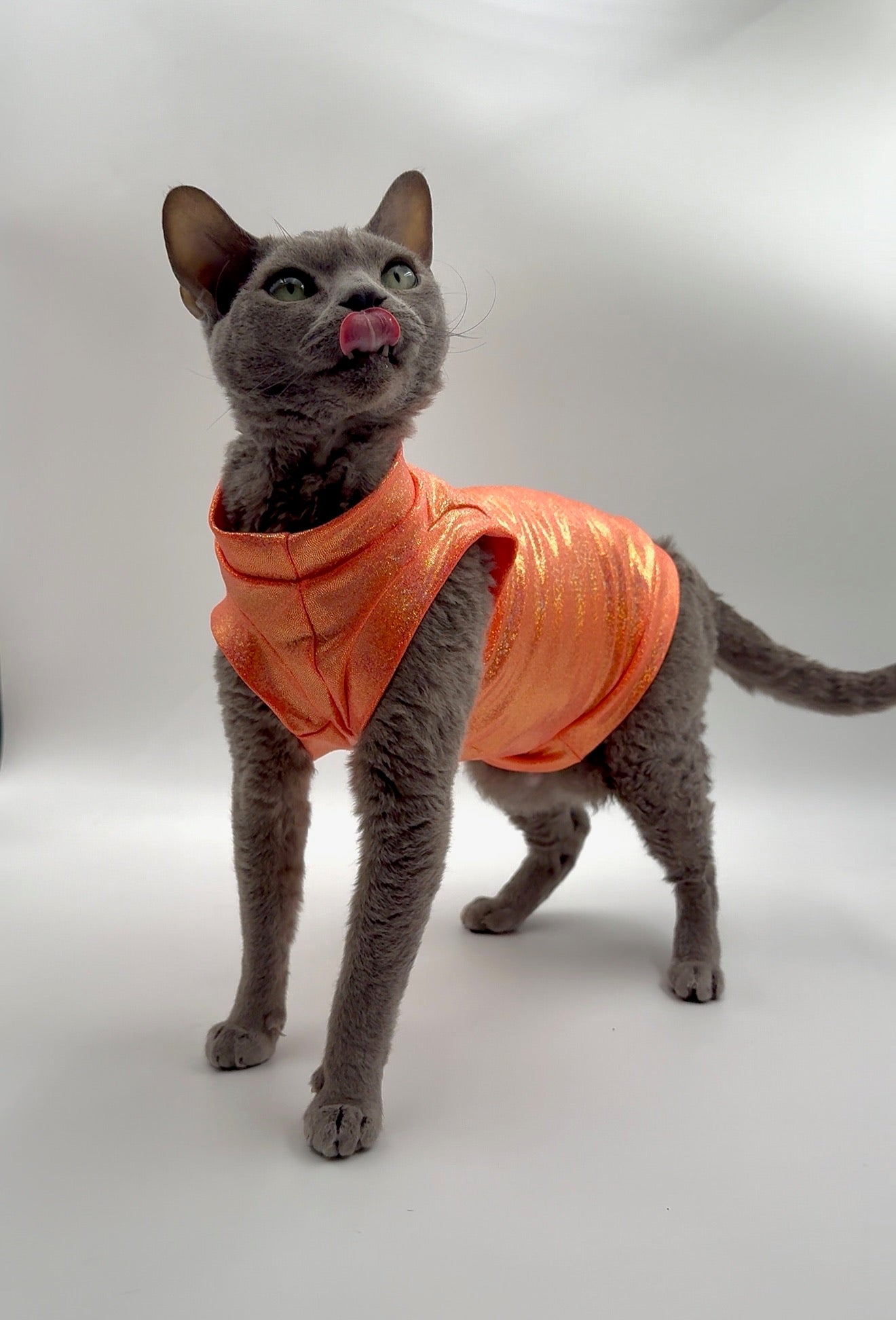 Tangerine Tango Fashion Shirt
