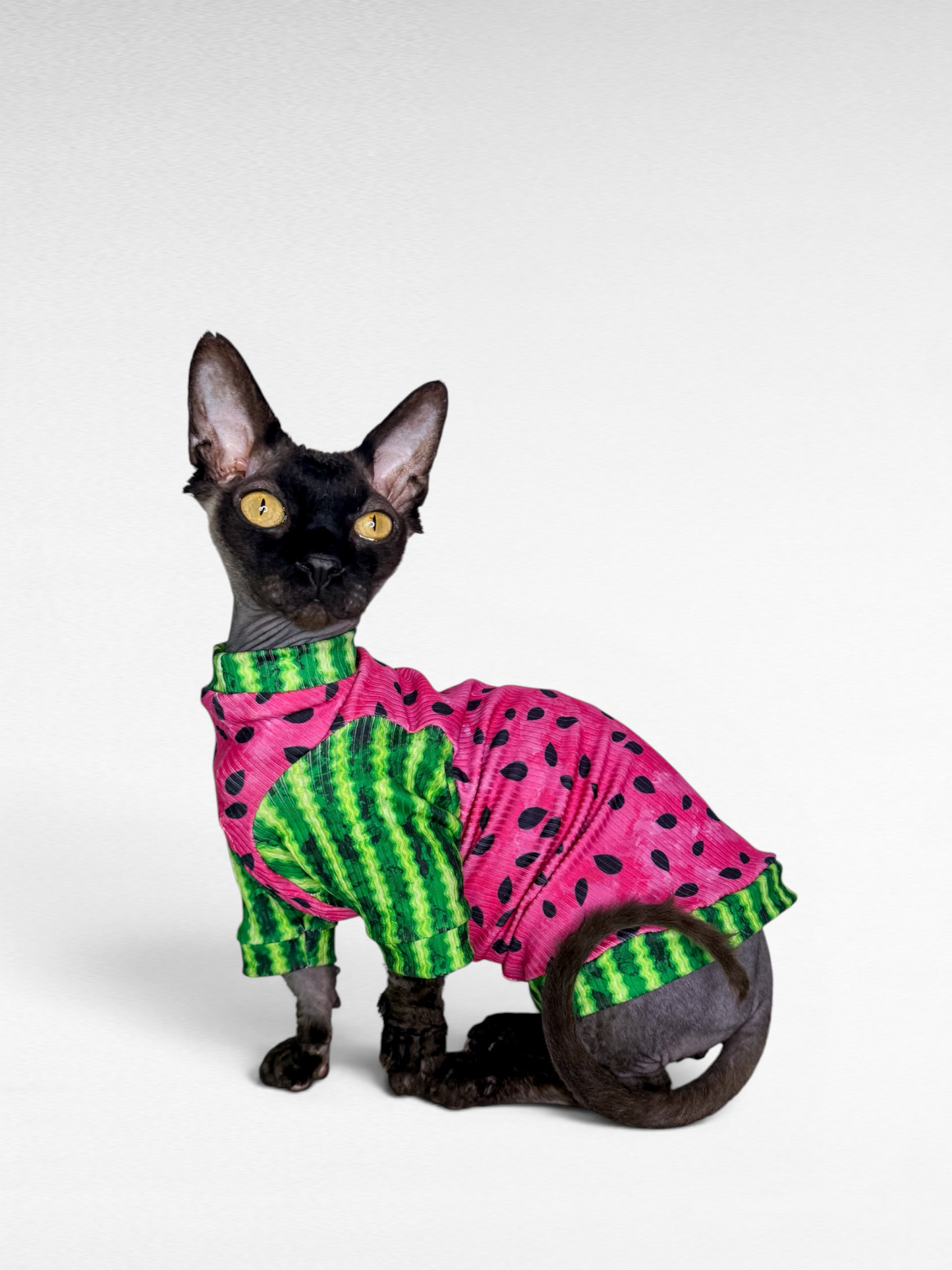 Watermelon Sugar Long Sleeve Ribbed Shirt