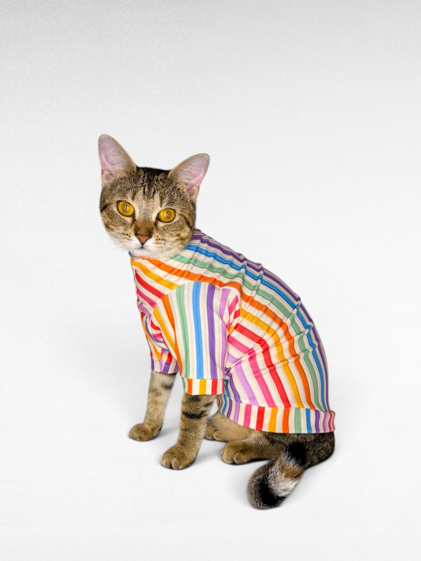 Tutti Frutti Long Sleeve Ribbed Shirt