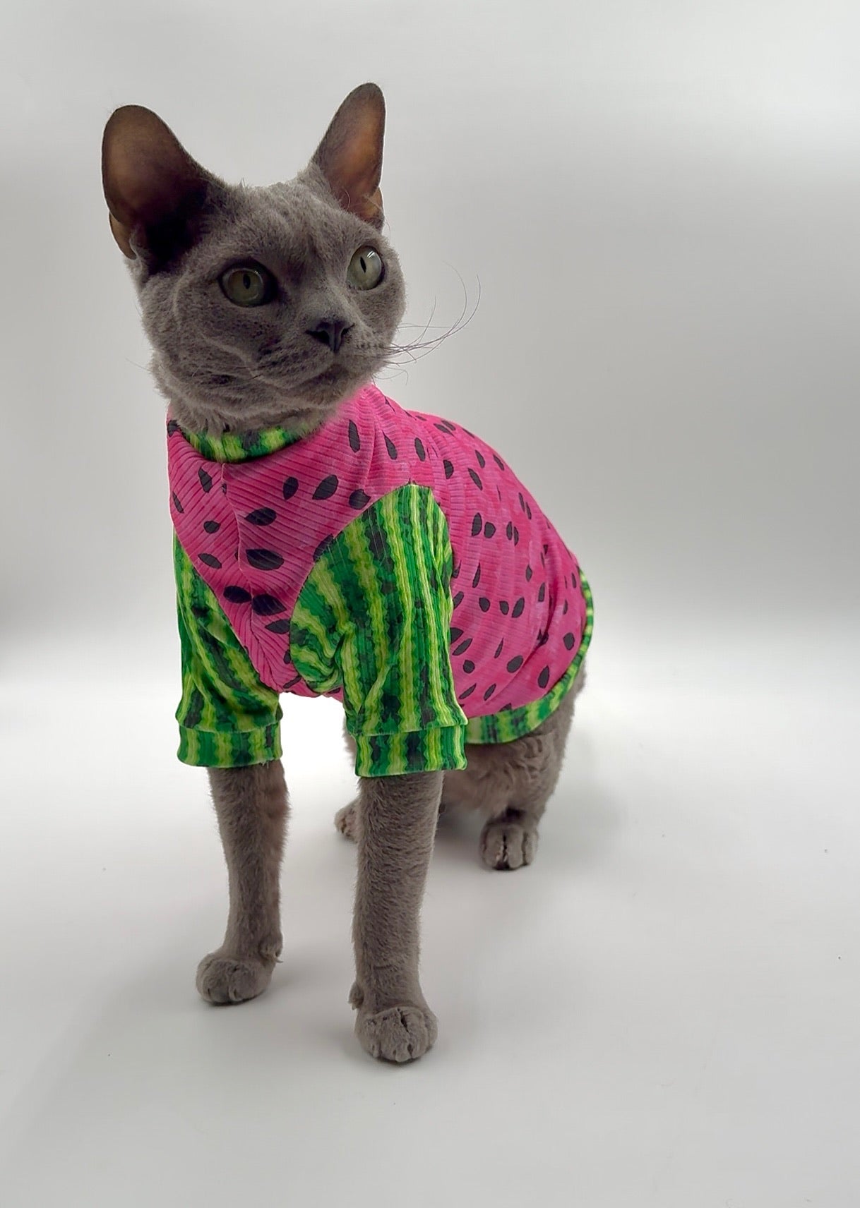 Watermelon Sugar Long Sleeve Ribbed Shirt