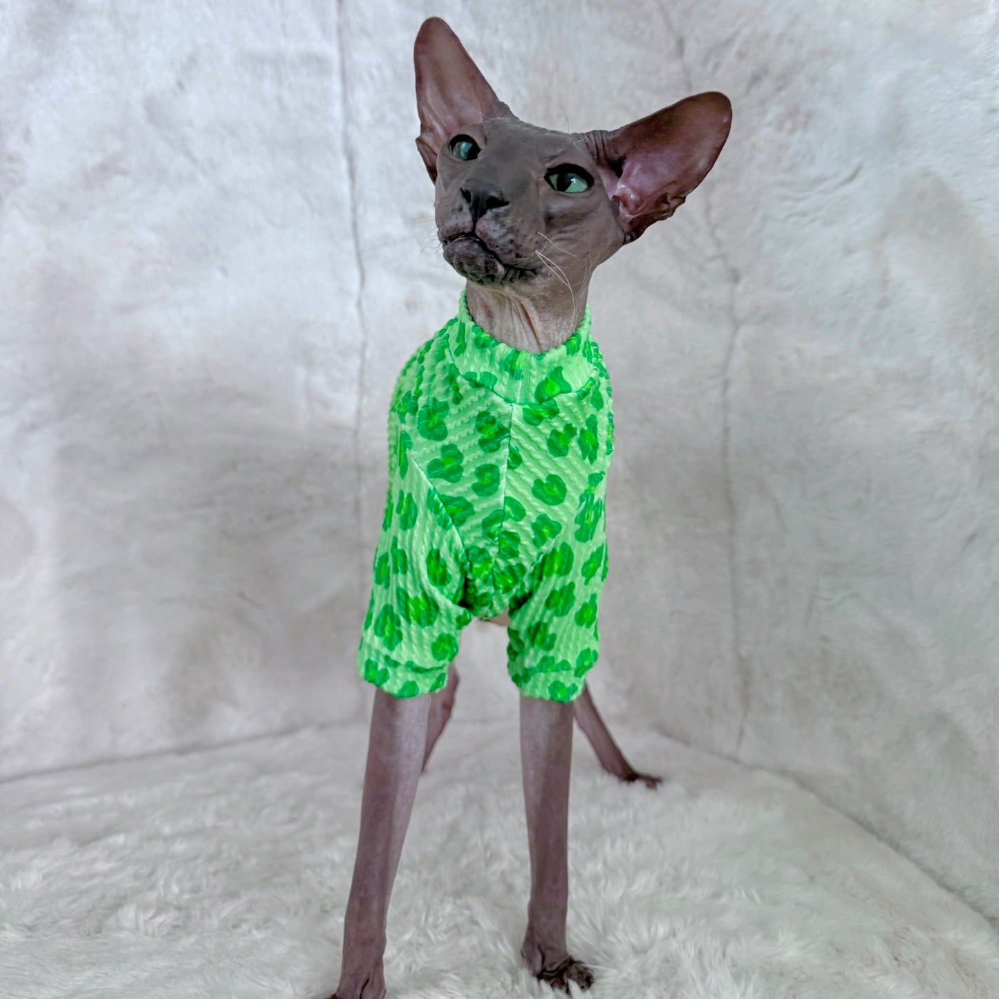 Sour Apple Leopard Long Sleeve Chunky Ribbed Shirt