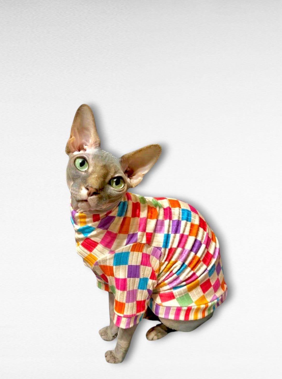 Summer Block Party Long Sleeve Ribbed Shirt