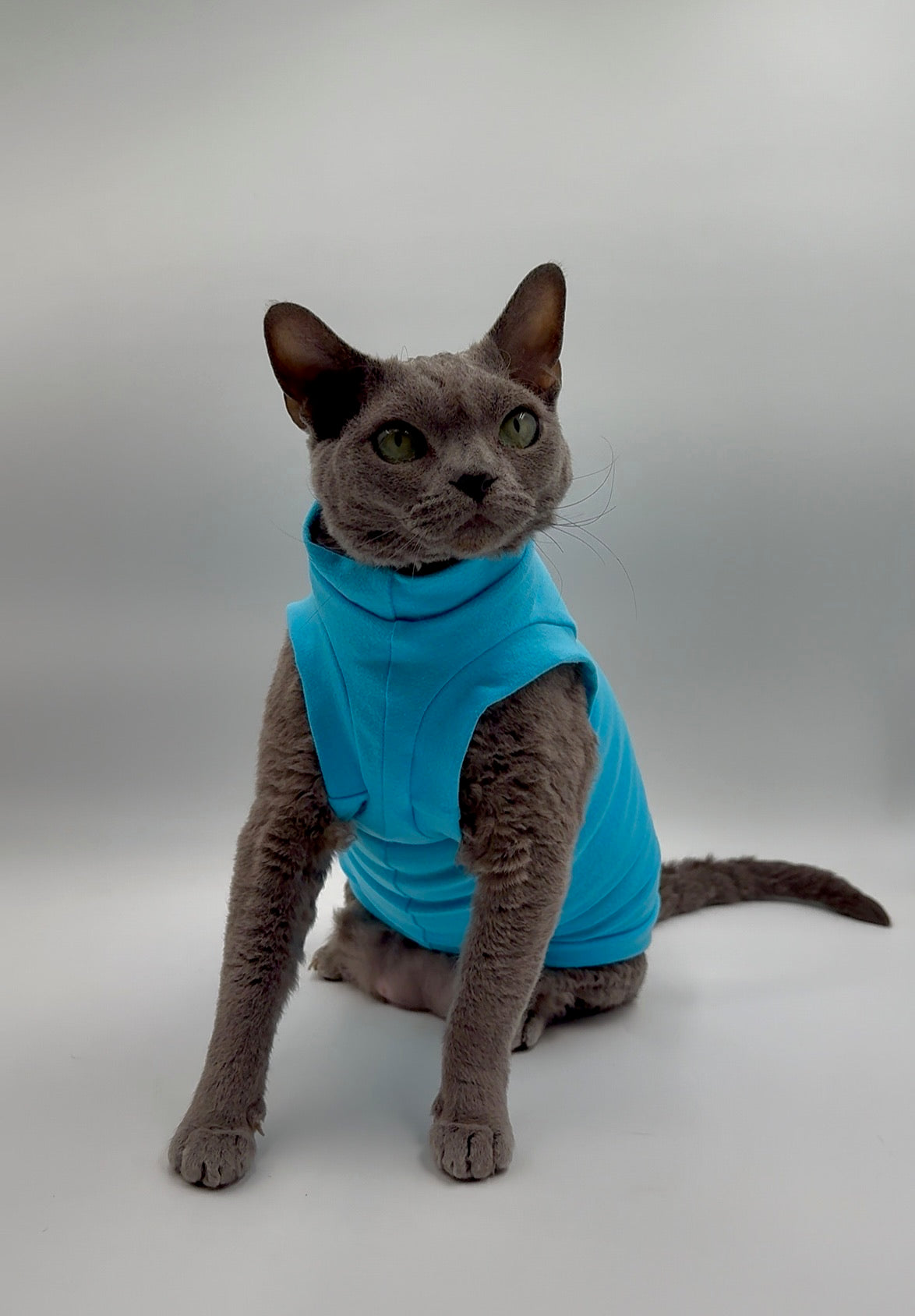 Aqua Everyday Shirt