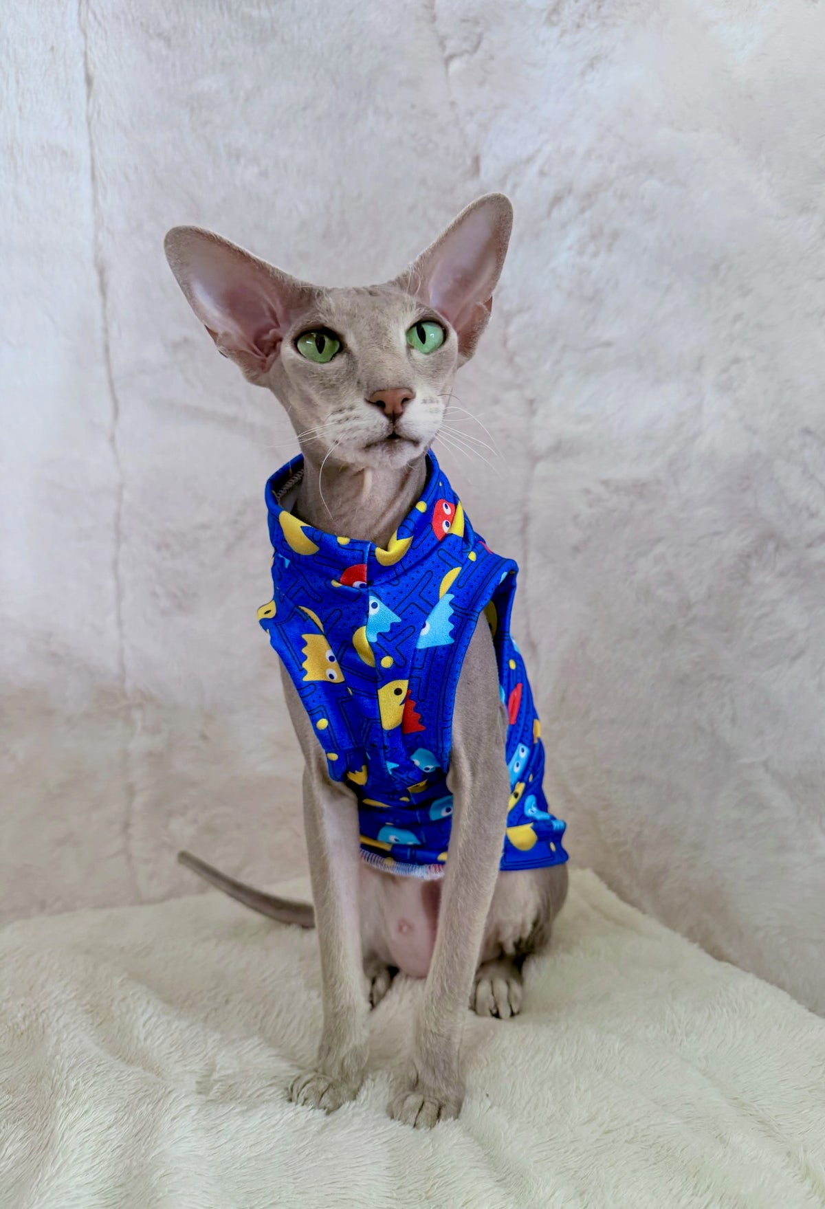 Pac-Cat Luxe Shirt