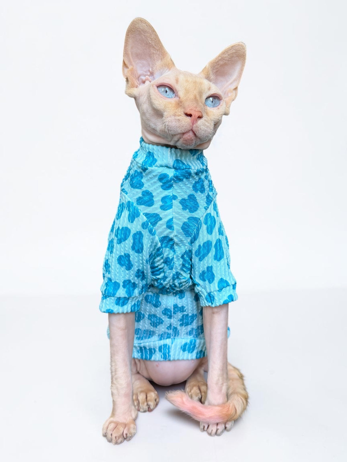 Blue Razz Leopard Long Sleeve Chunky Ribbed Shirt