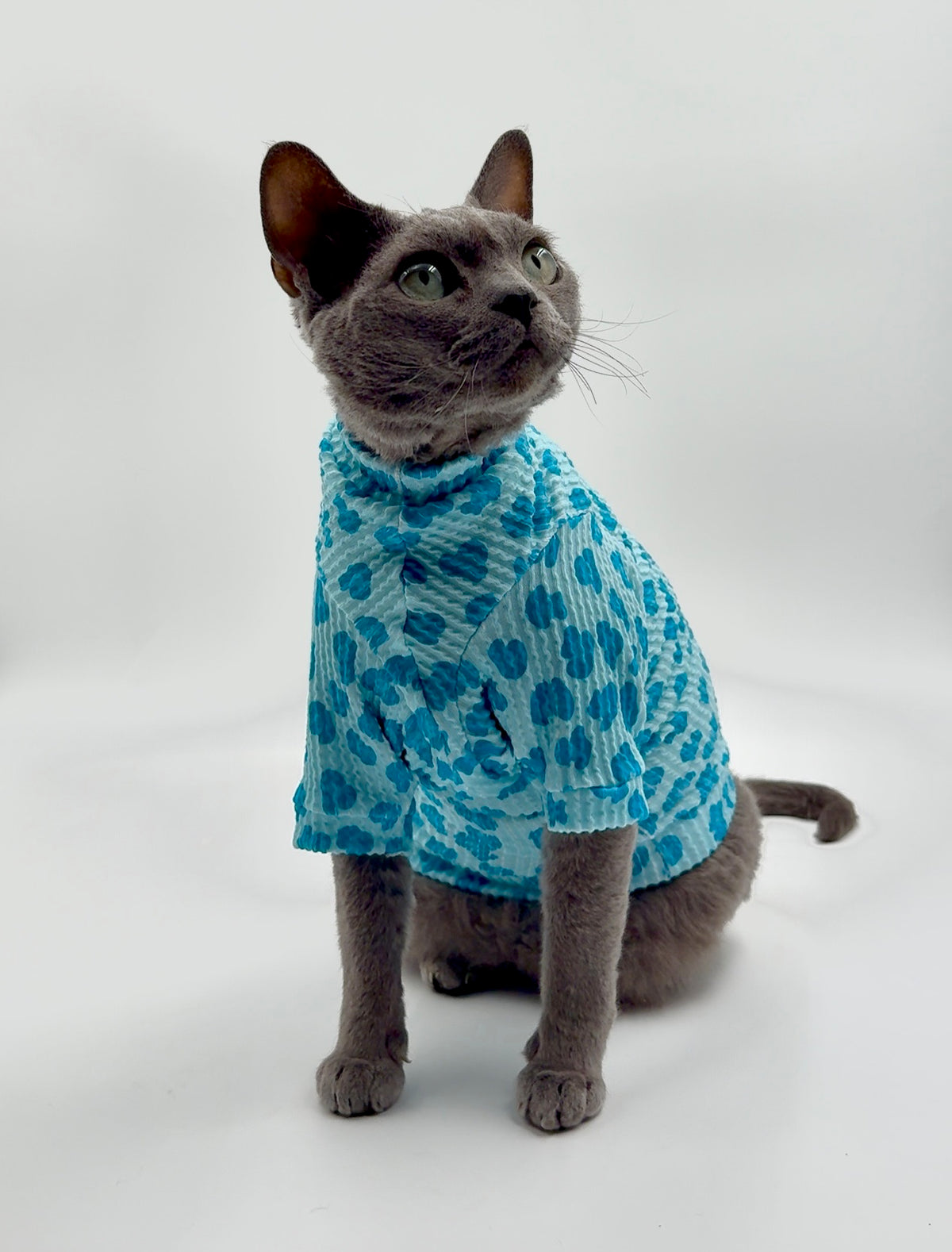 Blue Razz Leopard Long Sleeve Chunky Ribbed Shirt
