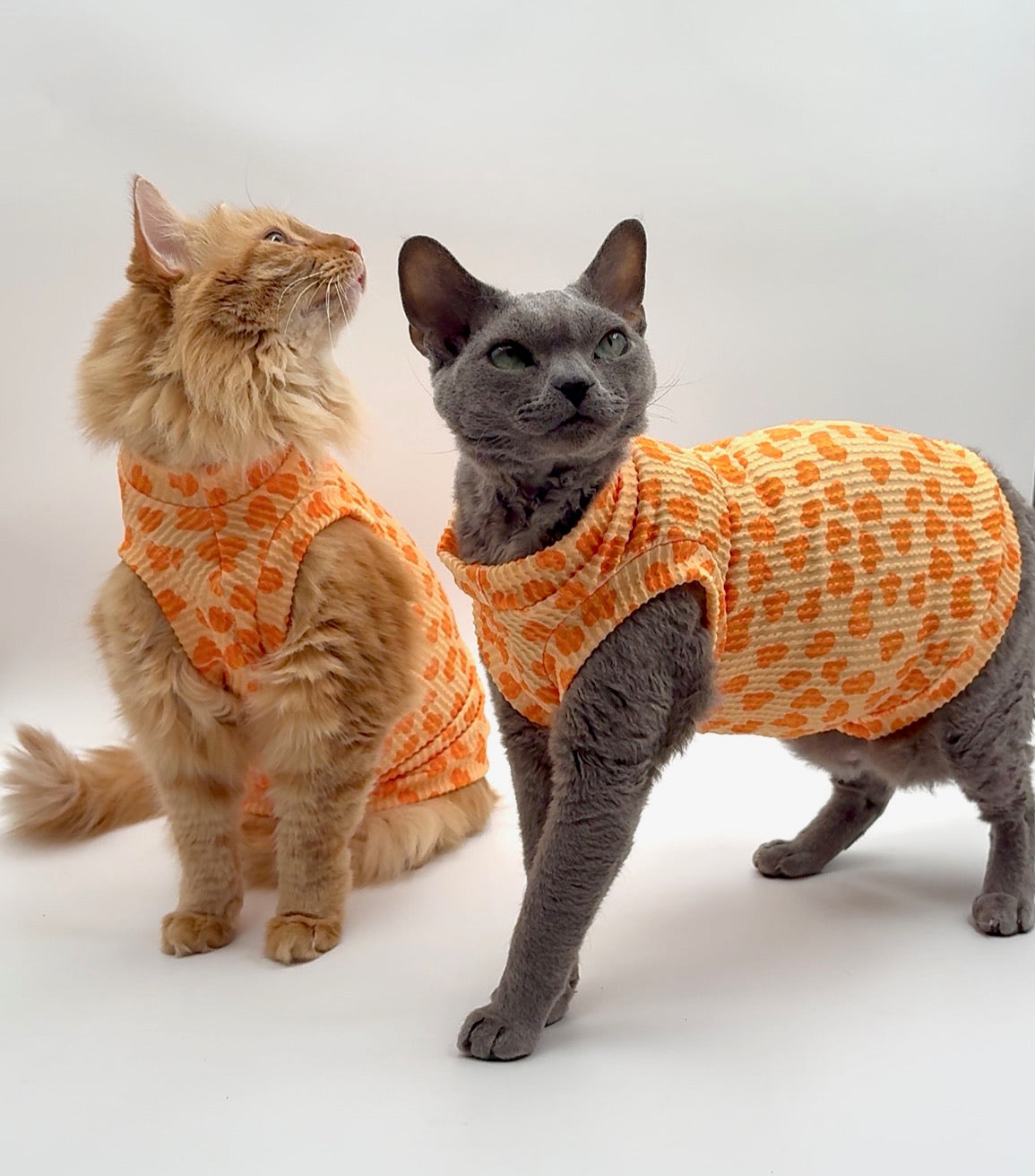 Creamsicle Leopard Chunky Ribbed Shirt