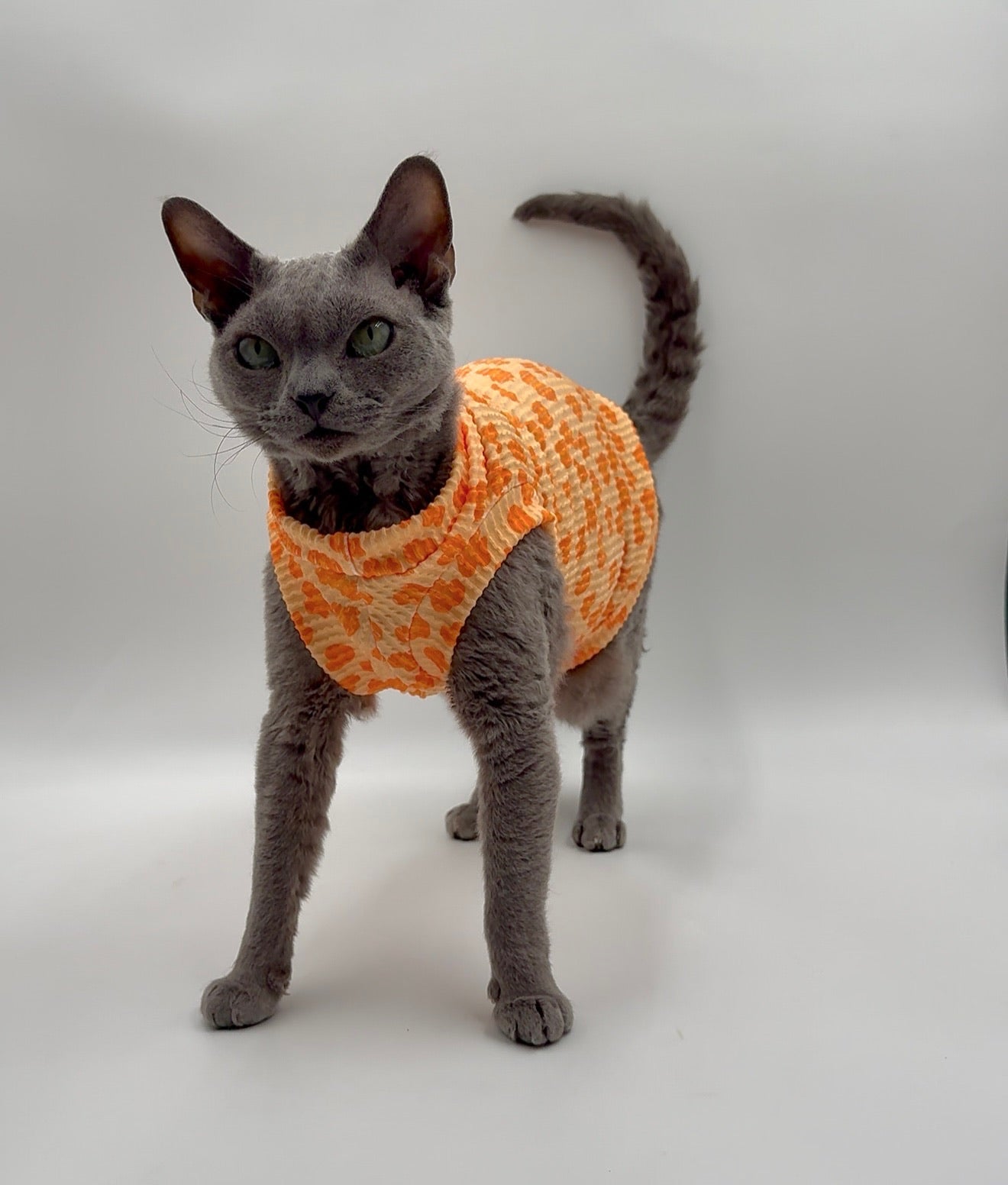 Creamsicle Leopard Chunky Ribbed Shirt