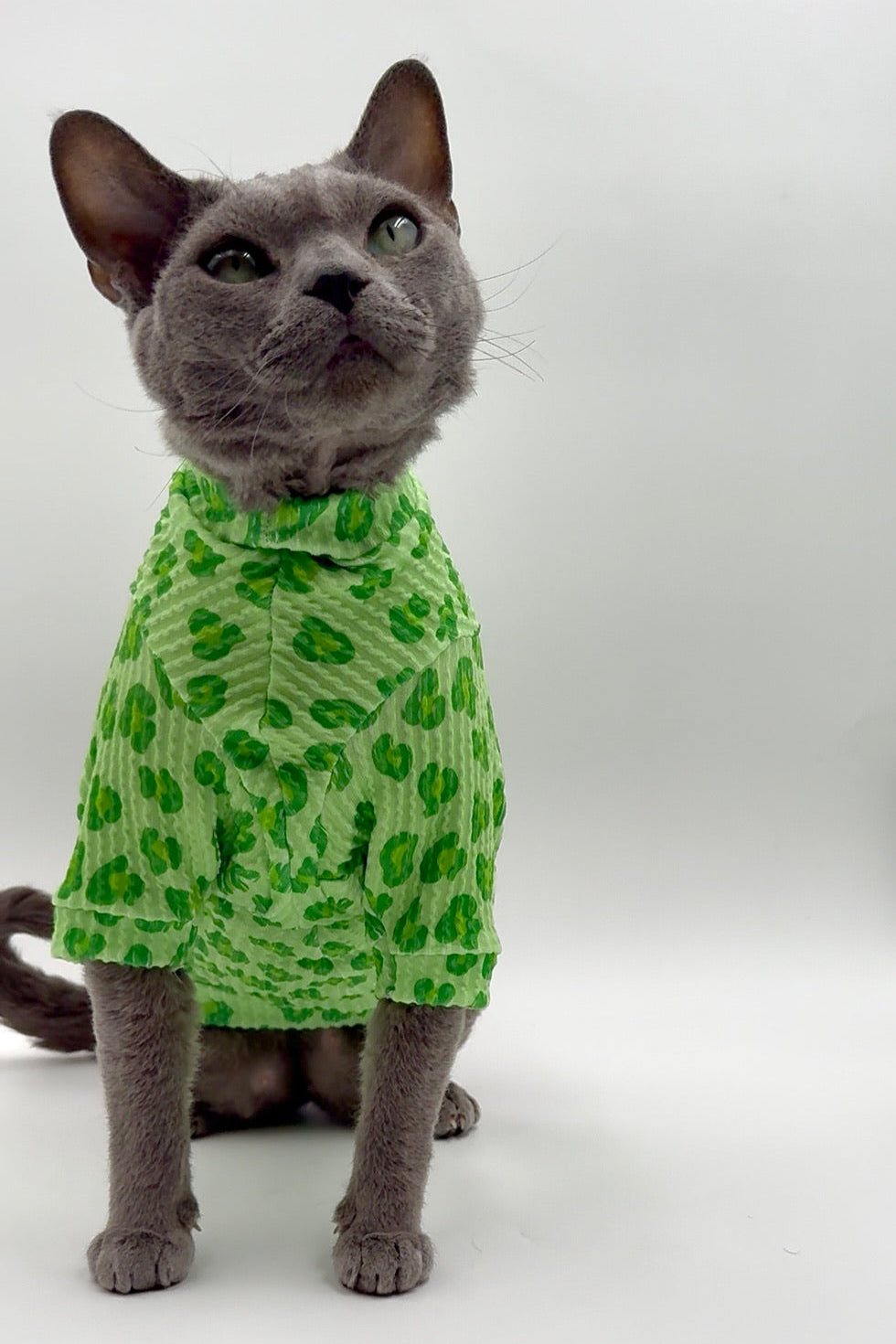 Sour Apple Leopard Long Sleeve Chunky Ribbed Shirt