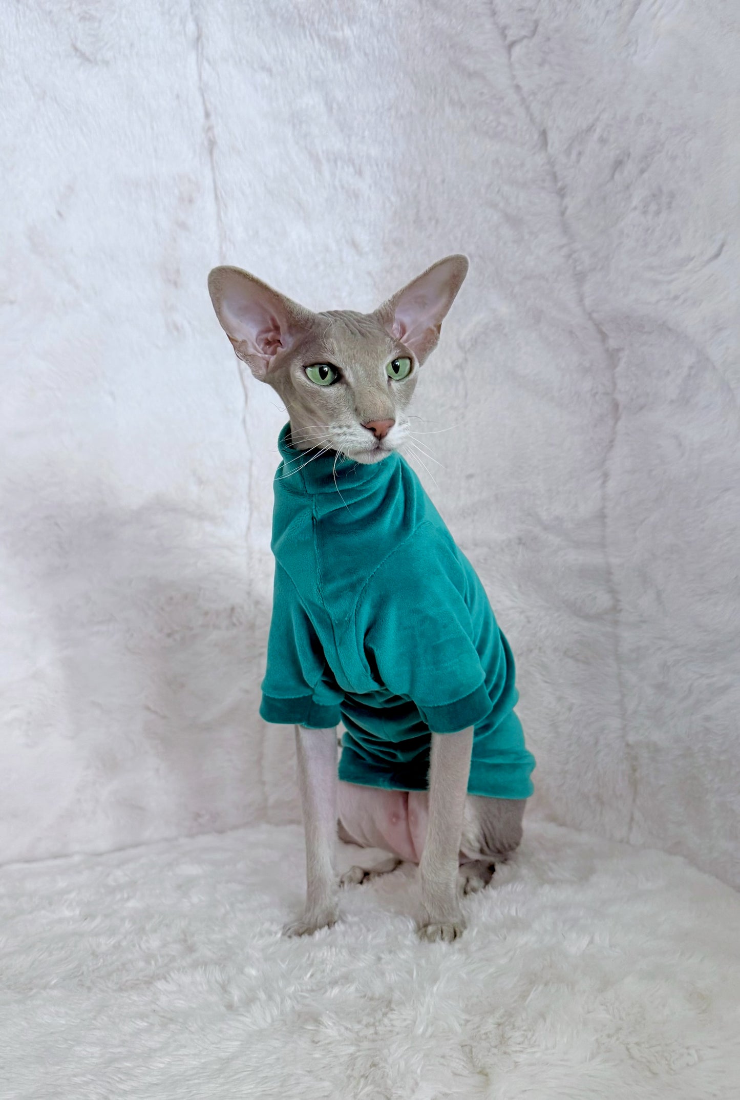 Pine Long Sleeve Plush Velvet Shirt