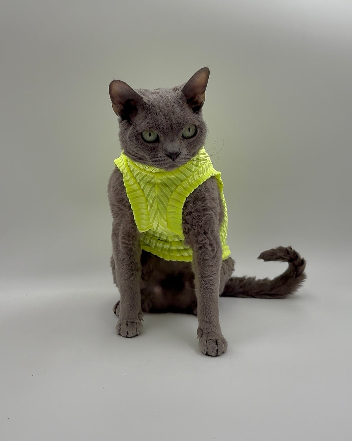 Neon Sol Ribbed Velvet Shirt