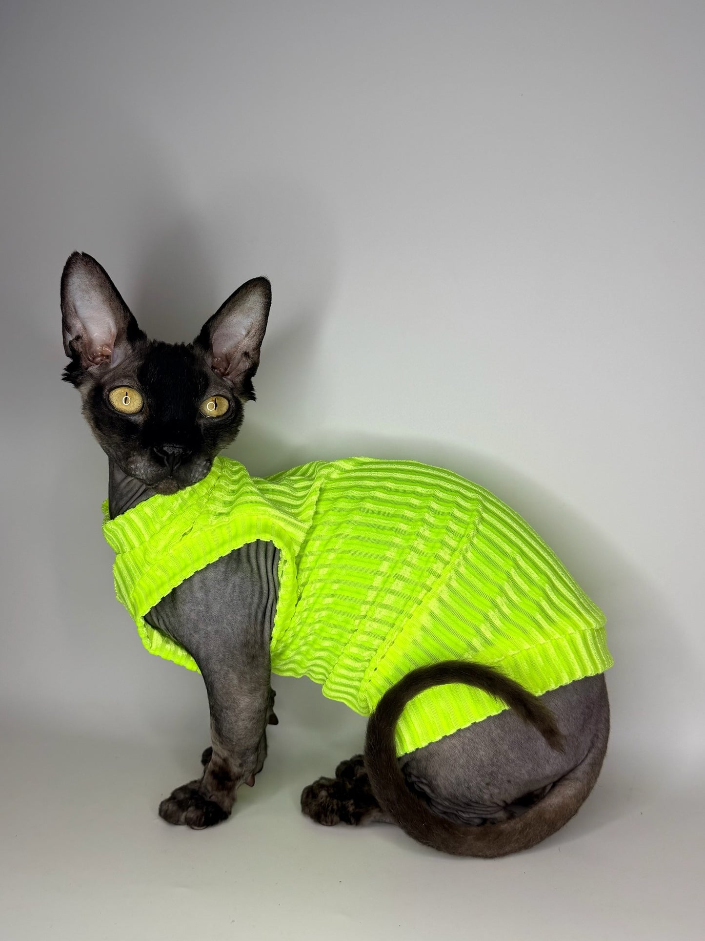 Neon Sol Ribbed Velvet Shirt