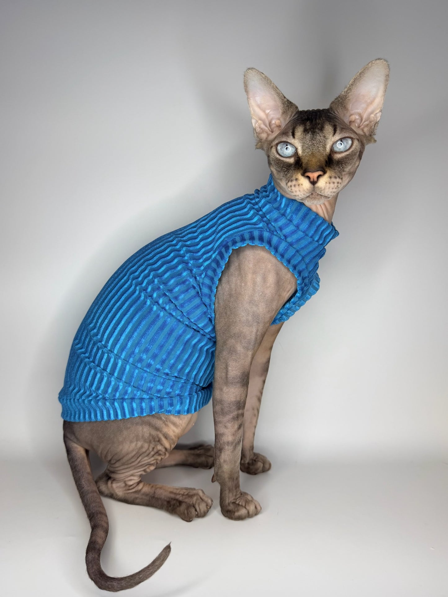 Aqua After Party Ribbed Velvet Shirt
