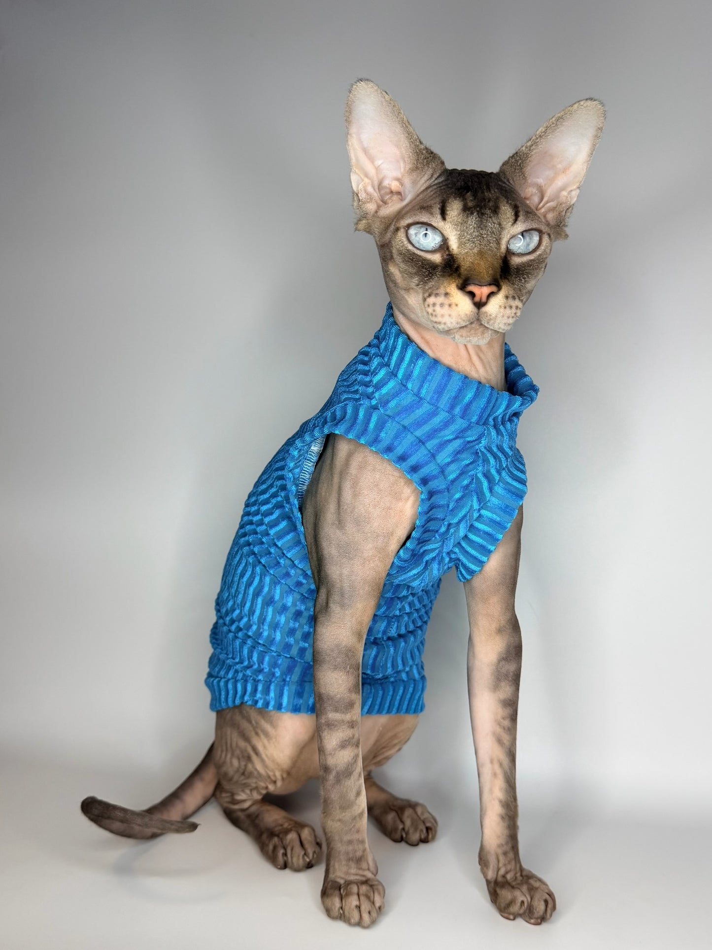 Aqua After Party Ribbed Velvet Shirt