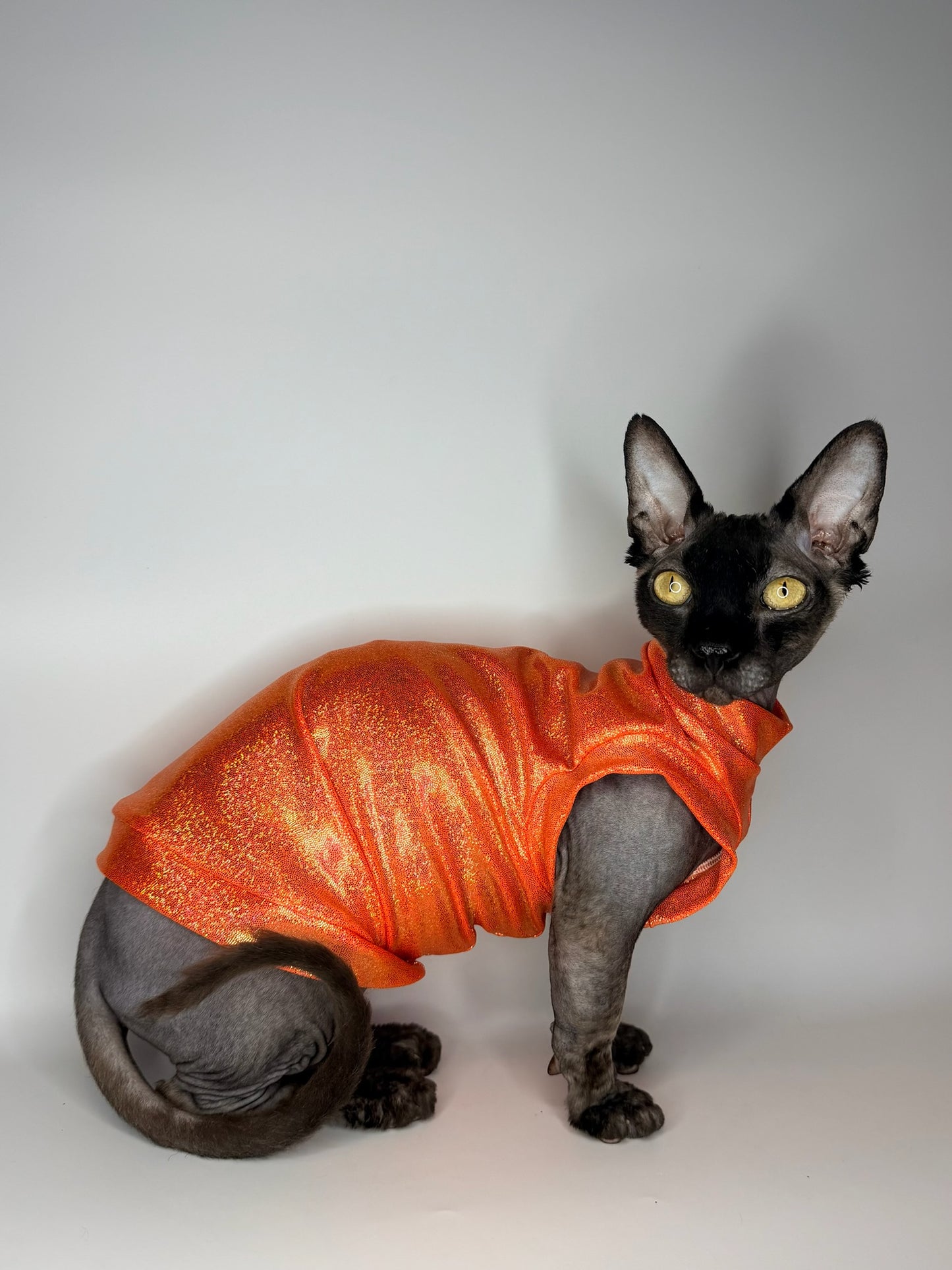 Tangerine Tango Fashion Shirt