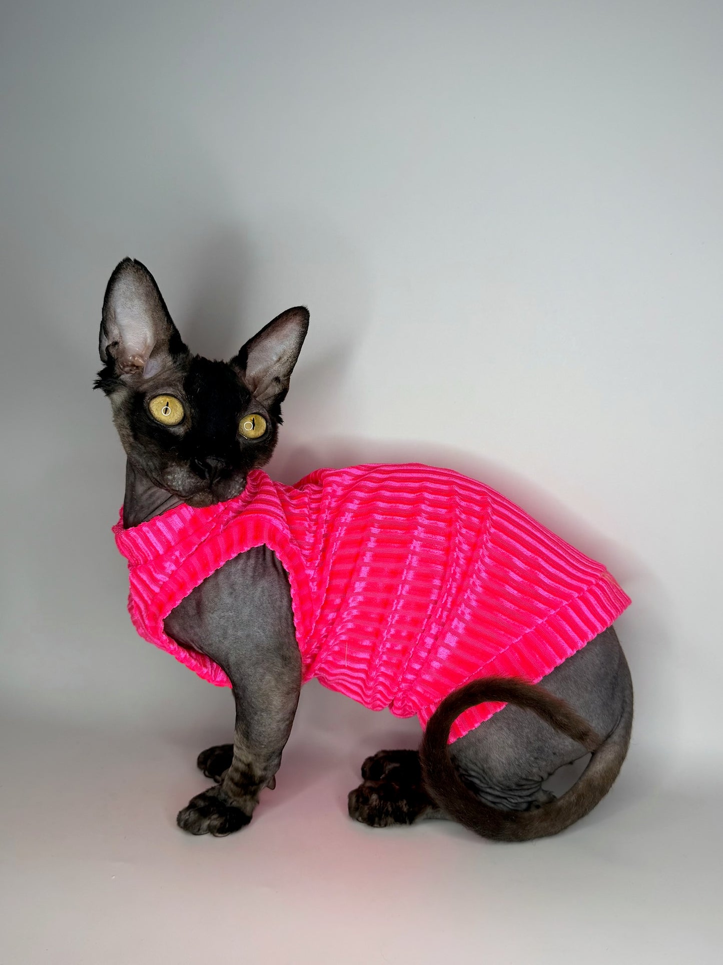 Pink Paloma Punch Ribbed Velvet Shirt