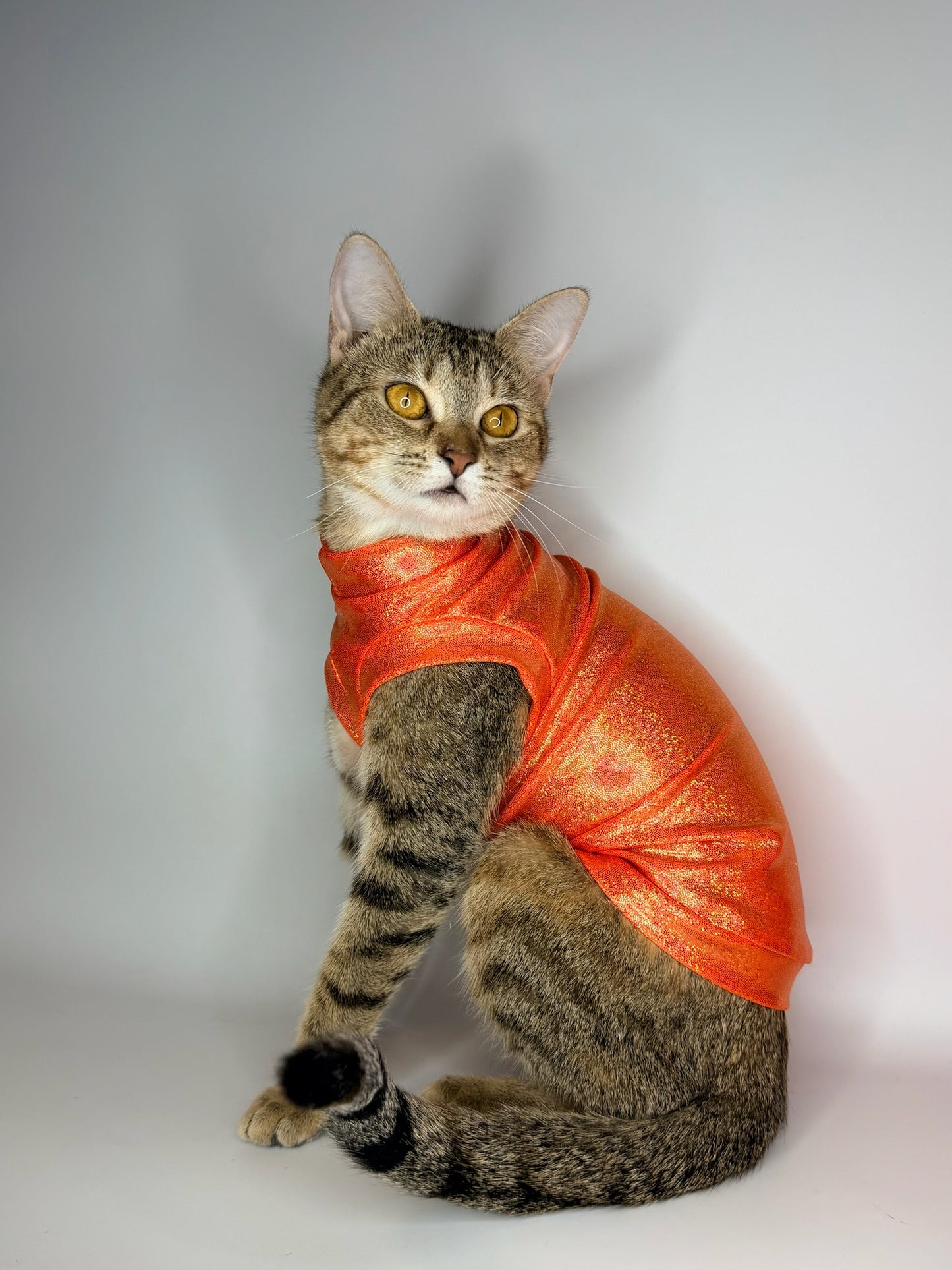 Tangerine Tango Fashion Shirt