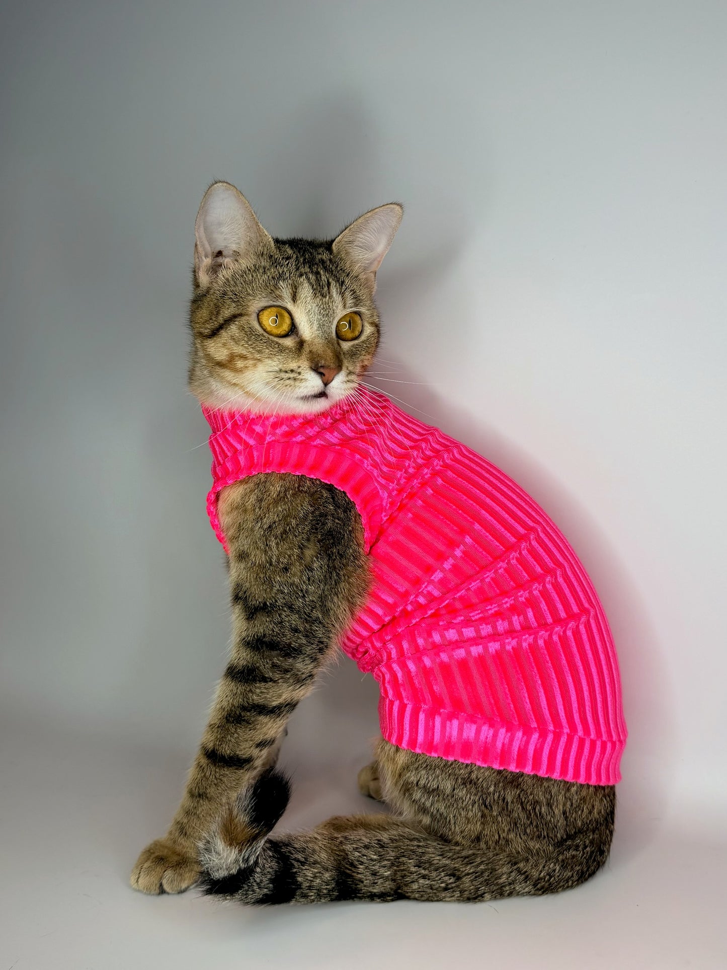 Pink Paloma Punch Ribbed Velvet Shirt